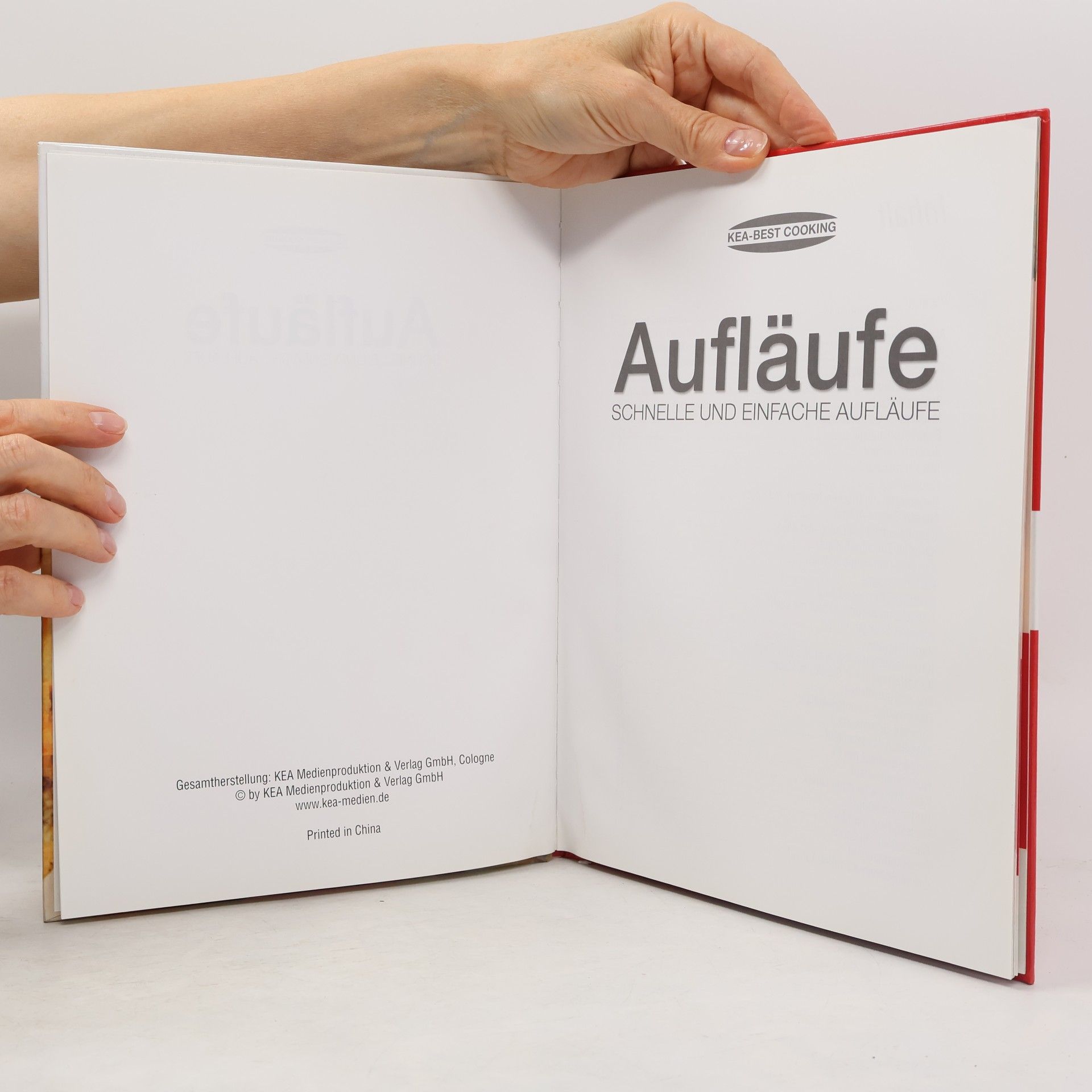 Kolektiv autorů Aufläufe schnelle und einfache Aufläufe