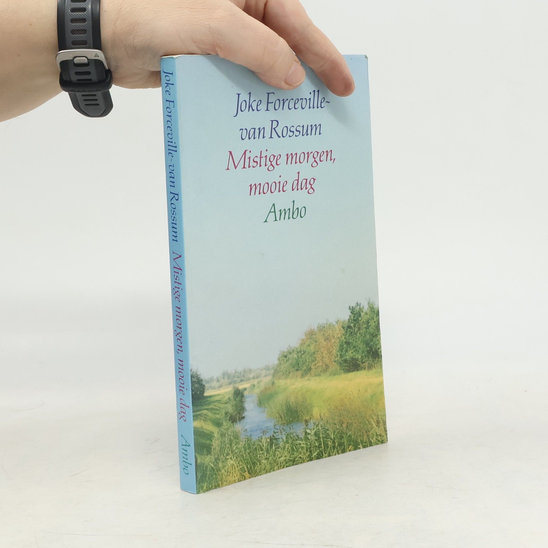 Joke Forceville-van Rossum Mistige morgen, mooie dag