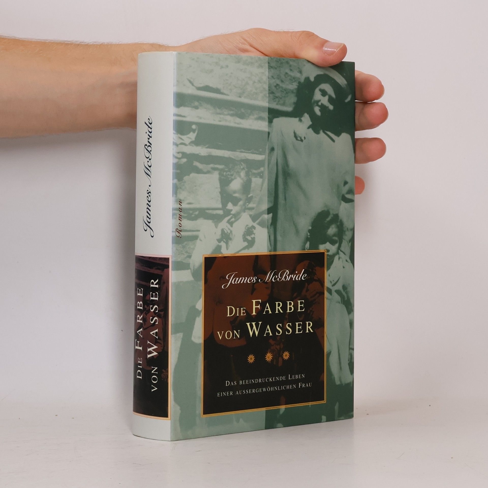 James McBride Die Farbe von Wasser