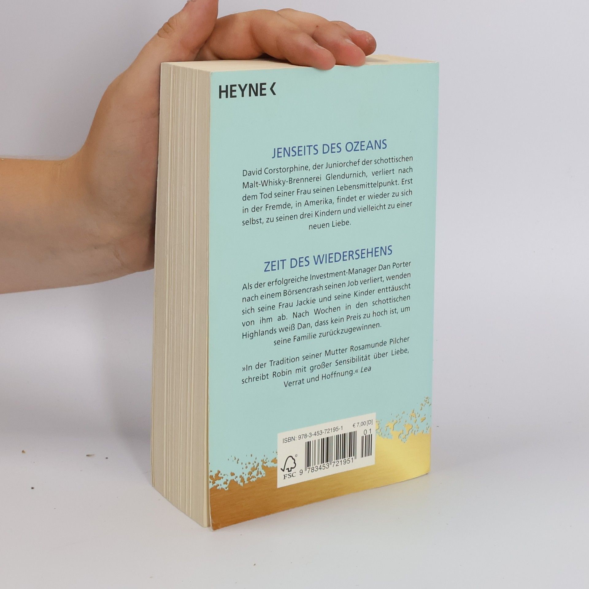 Robin Pilcher Jenseits des Ozeans