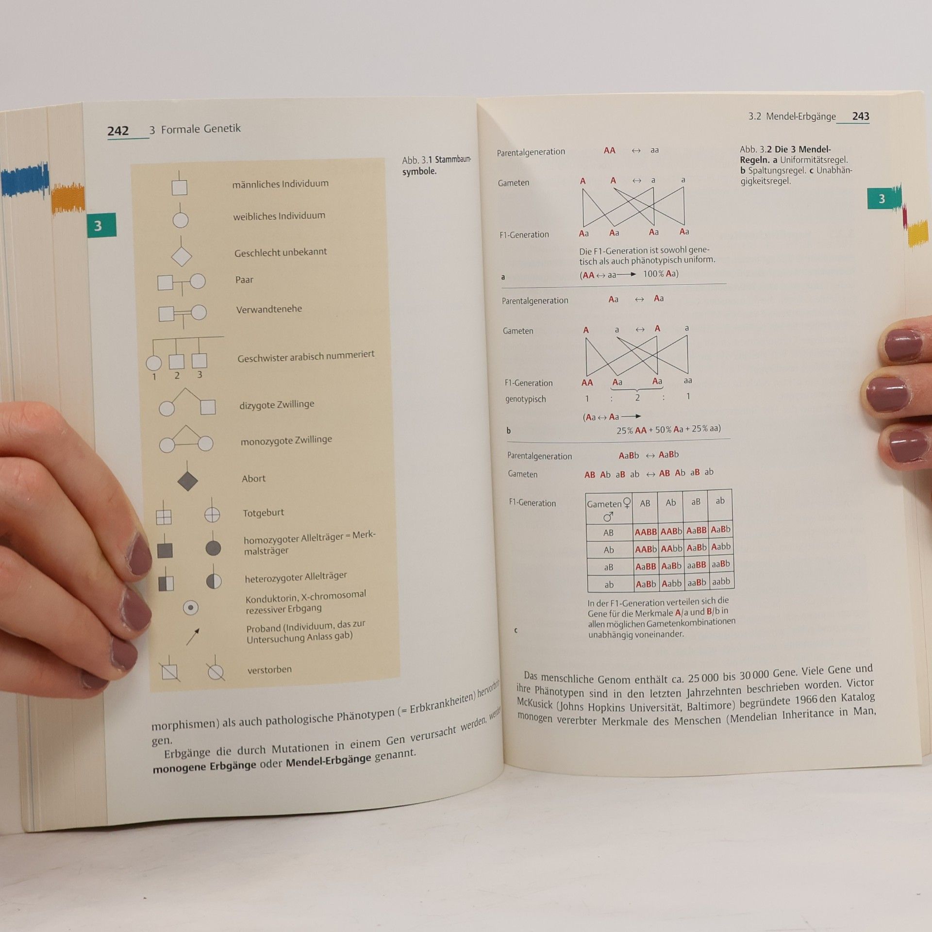 Jan Murken Taschenlehrbuch Humangenetik