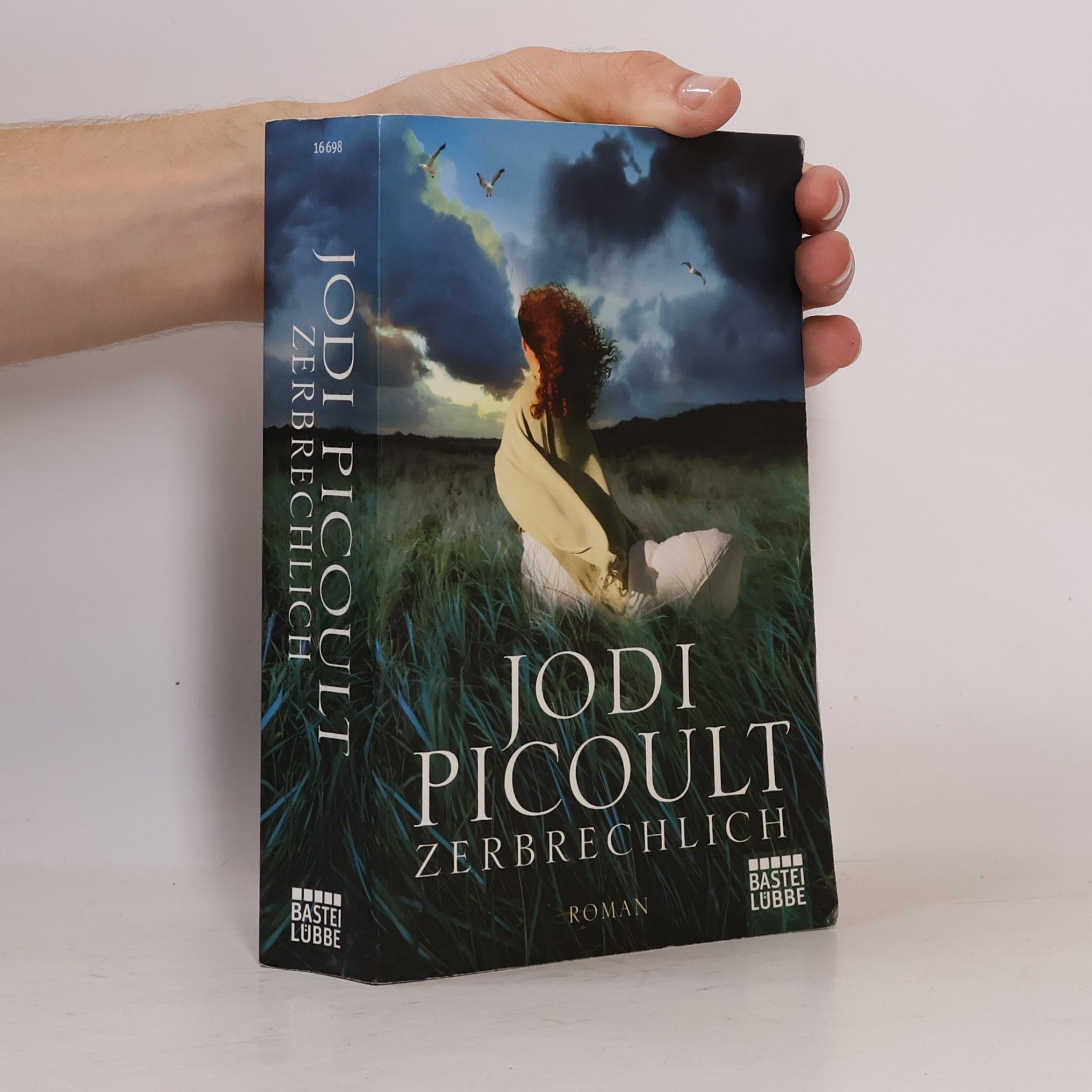 Jodi Picoult Zerbrechlich