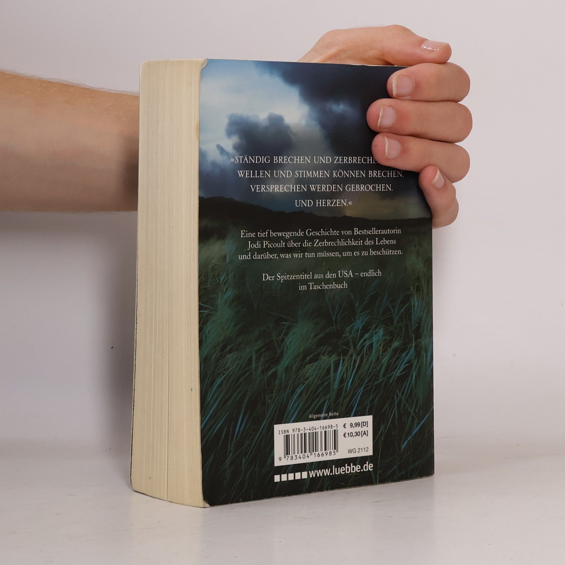 Jodi Picoult Zerbrechlich