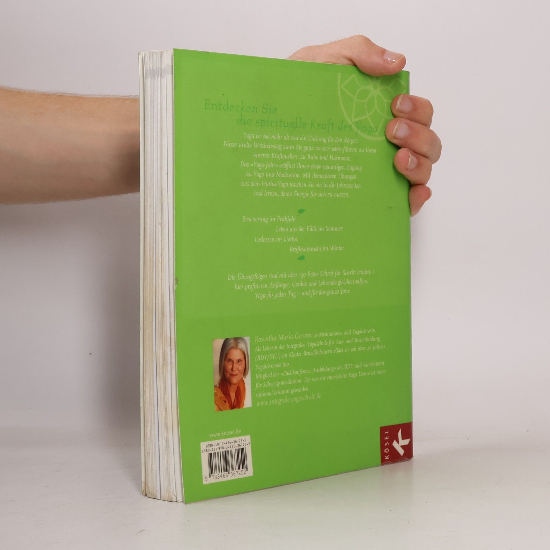 Roswitha Maria Gerwin Das Yoga-Jahr