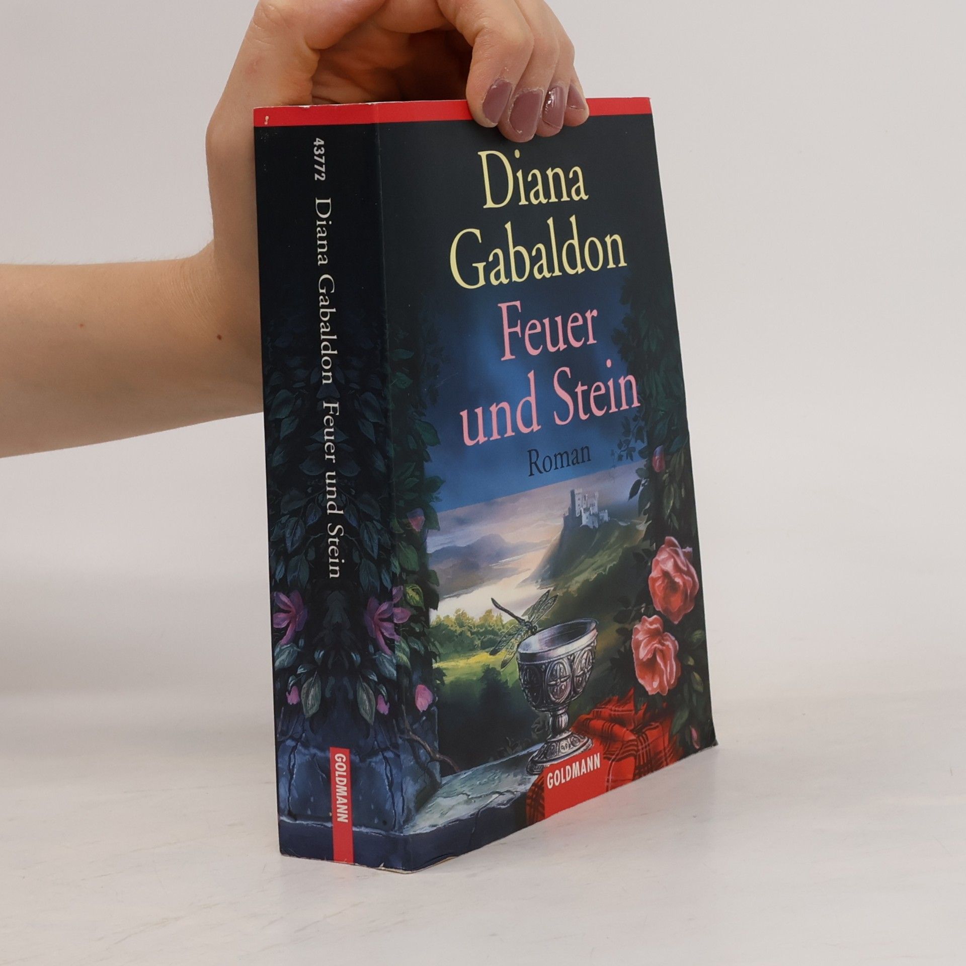 Diana Gabaldon Feuer und Stein