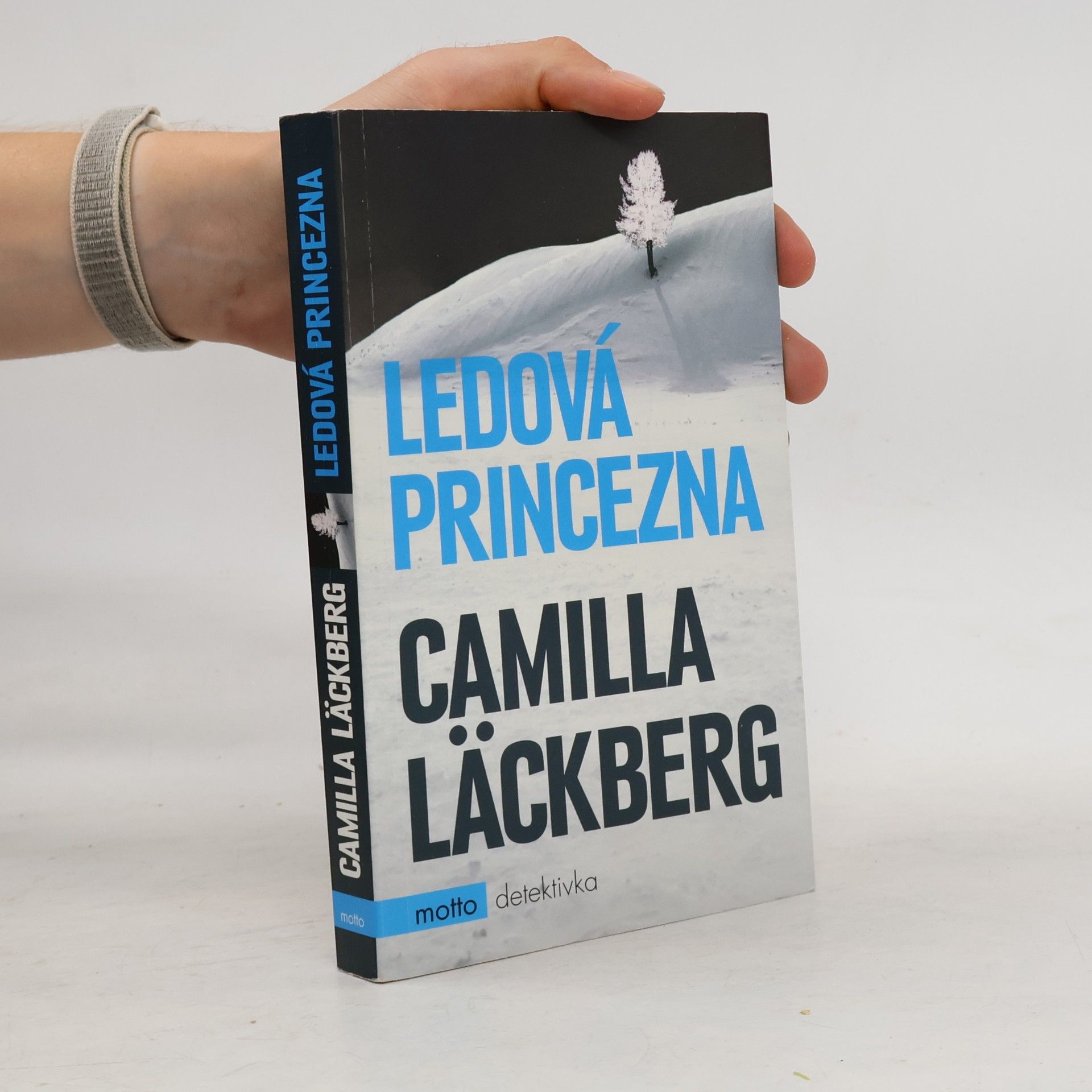 Ledová princezna