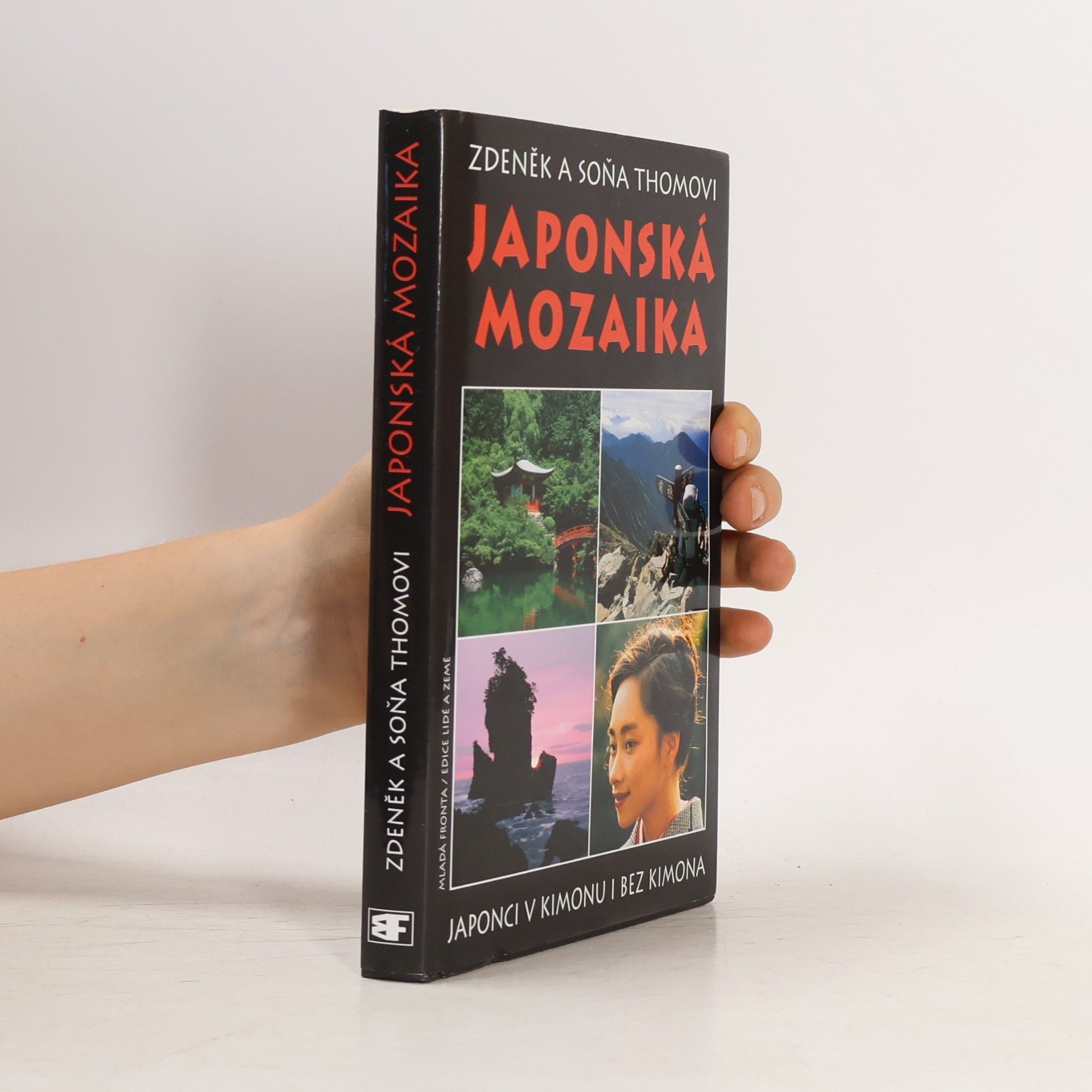 Japonská mozaika