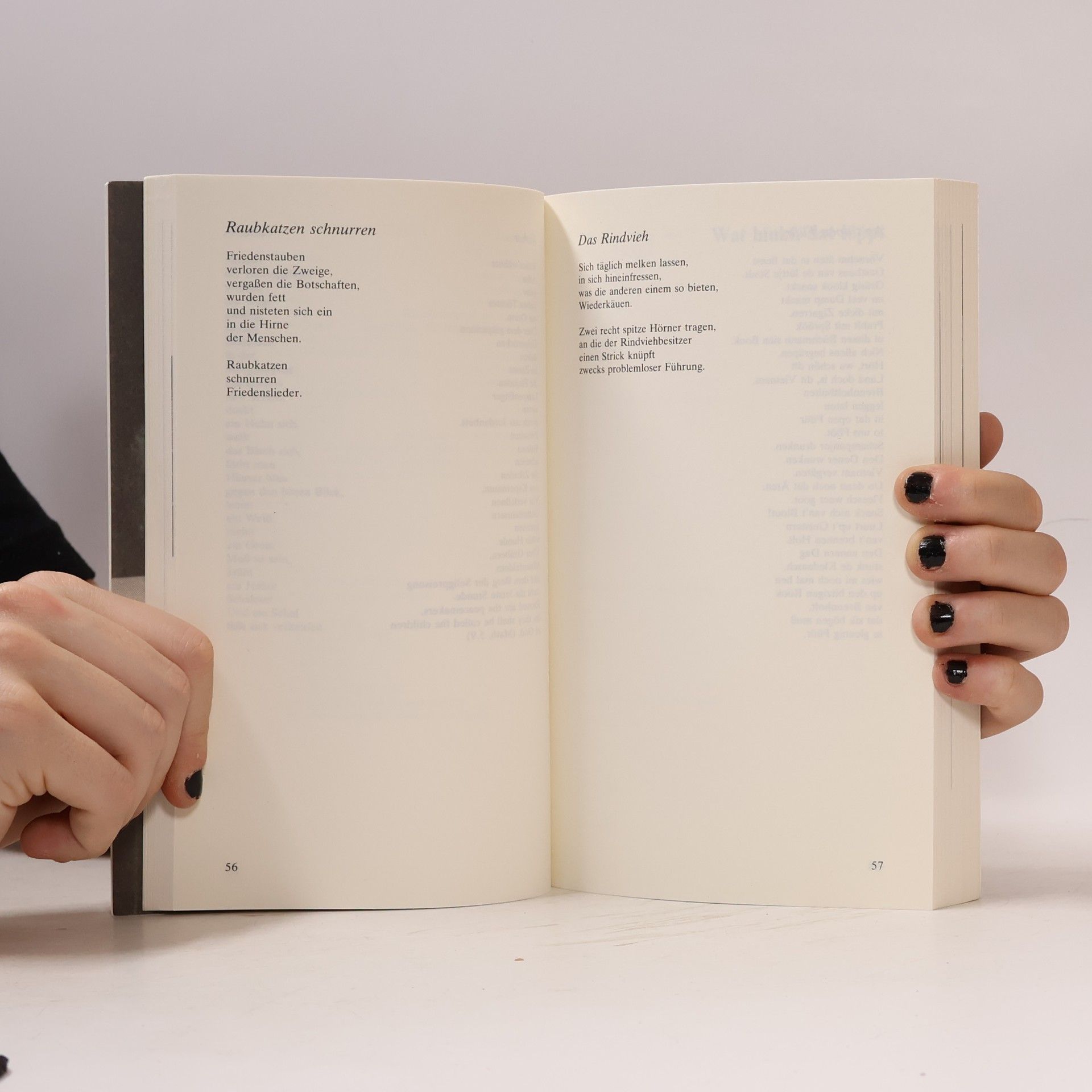 Collectif d'auteurs Manuskripte 101/102/'88