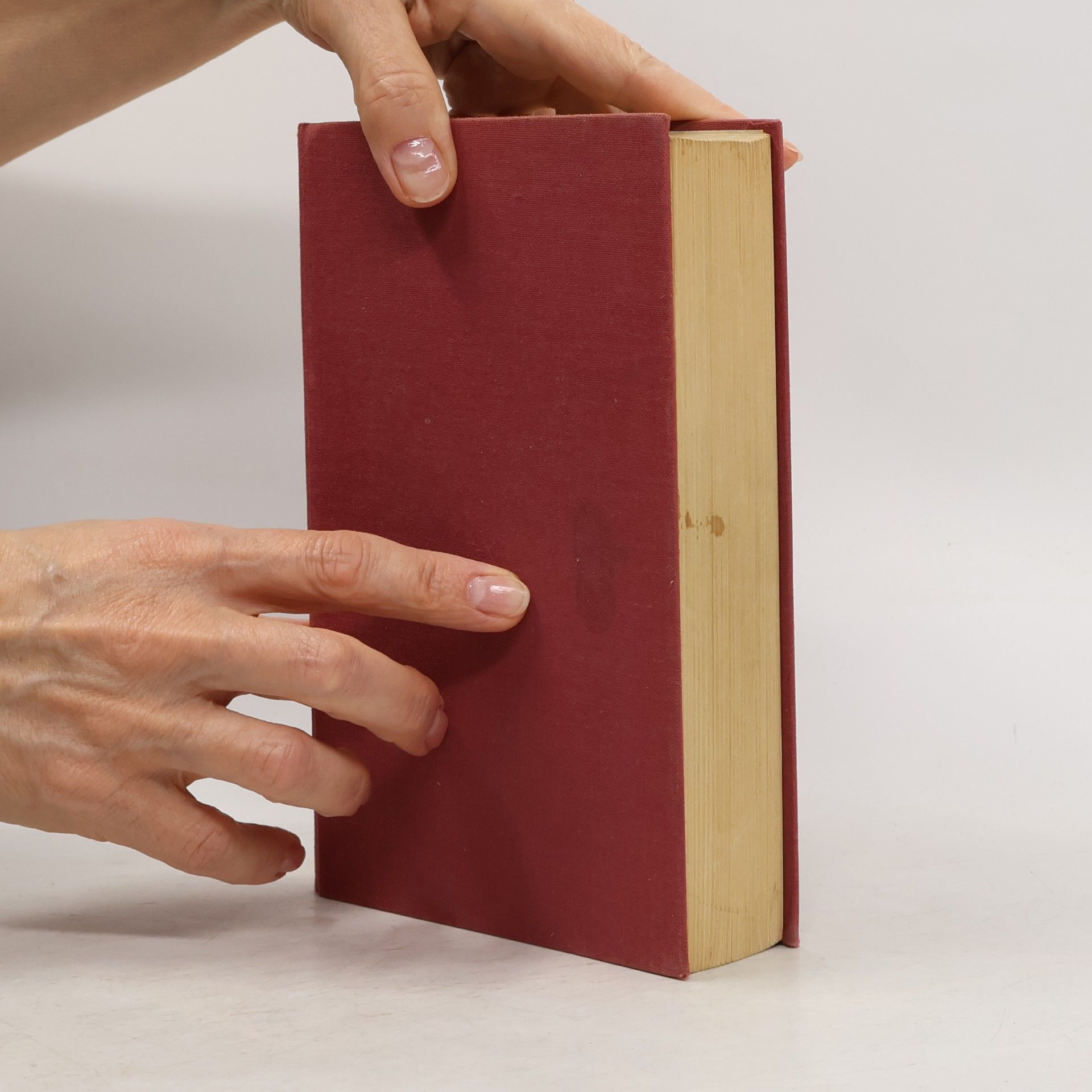 Autores varios Das große Sprachbuch