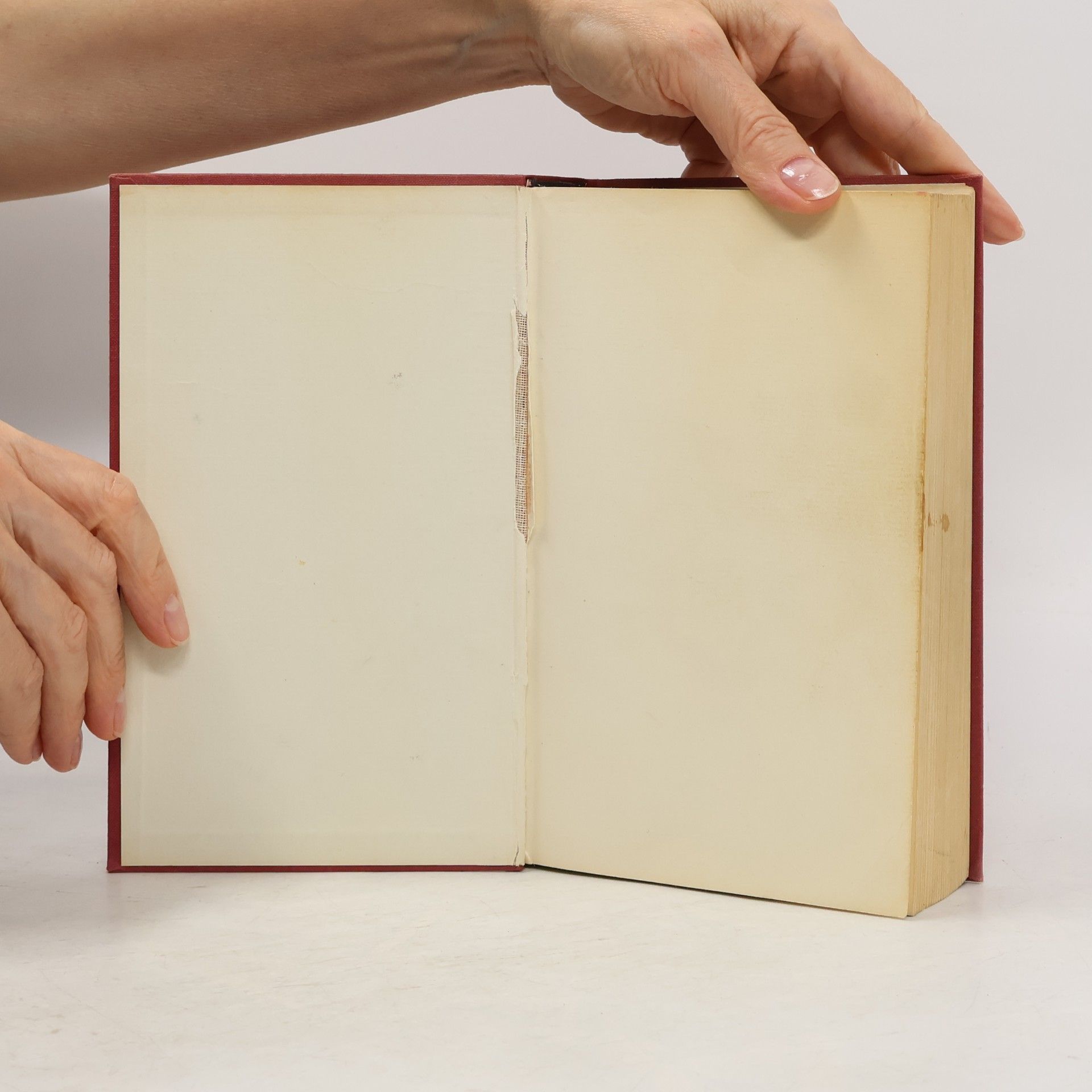 Autores varios Das große Sprachbuch