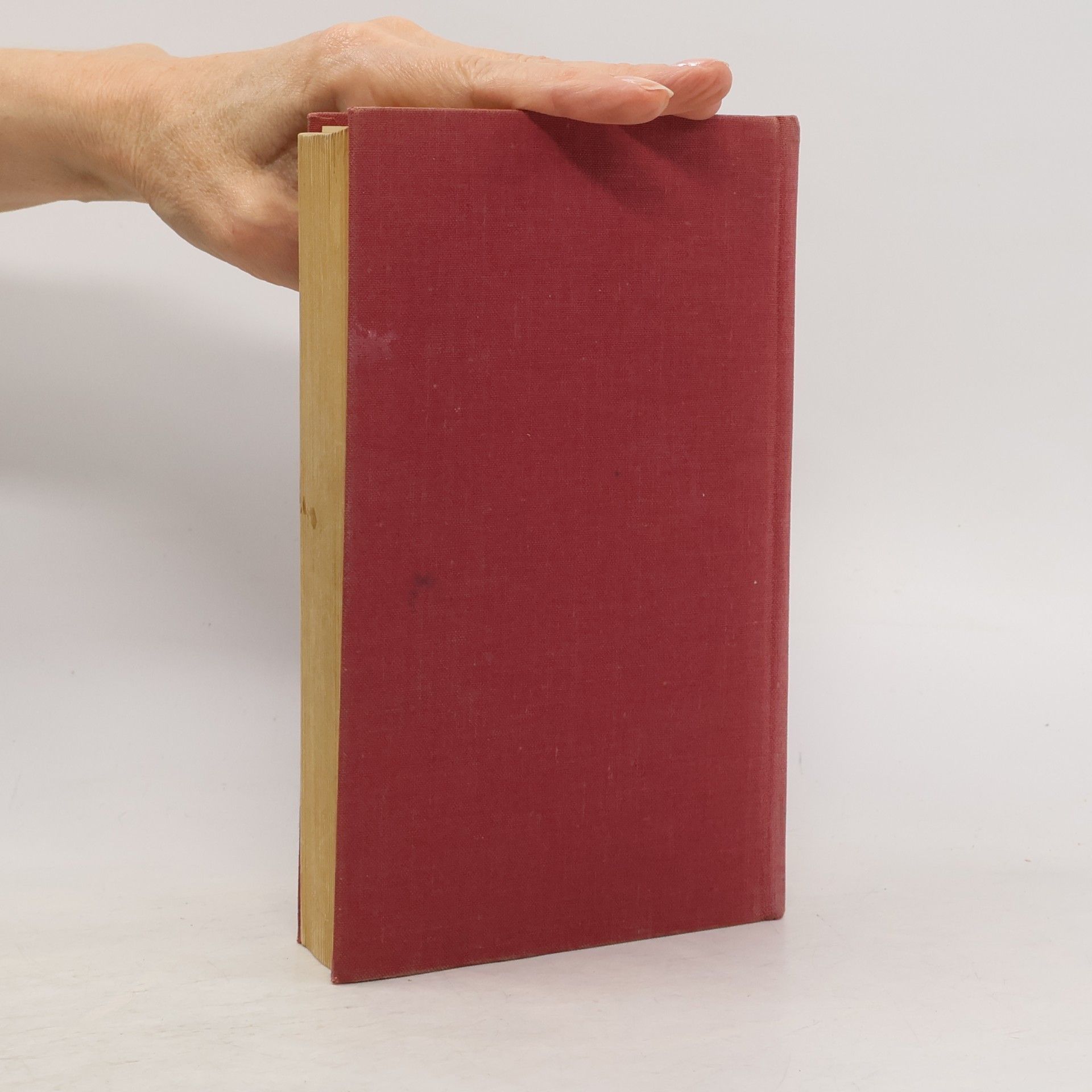 Autores varios Das große Sprachbuch