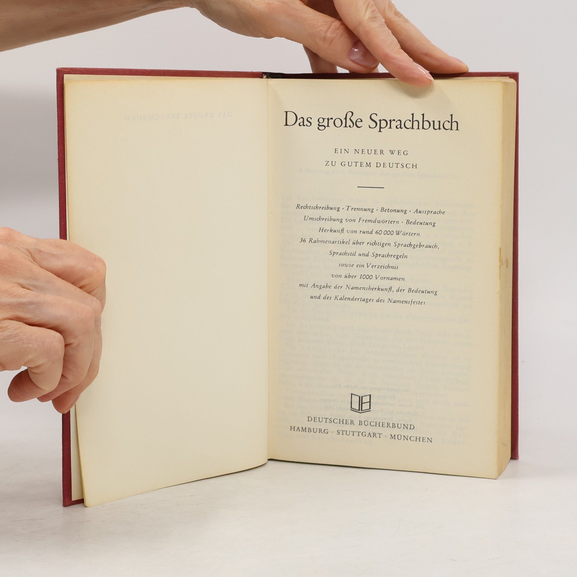Autores varios Das große Sprachbuch
