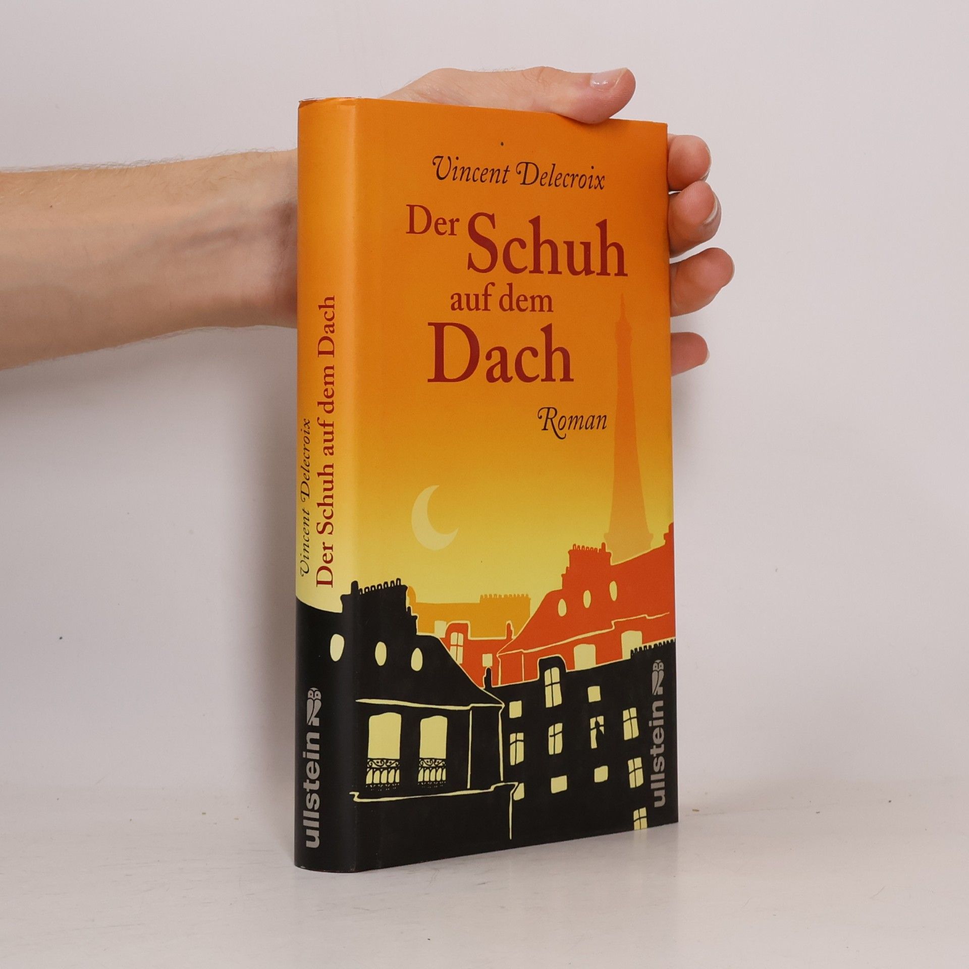 Vincent Delecroix Der Schuh auf dem Dach