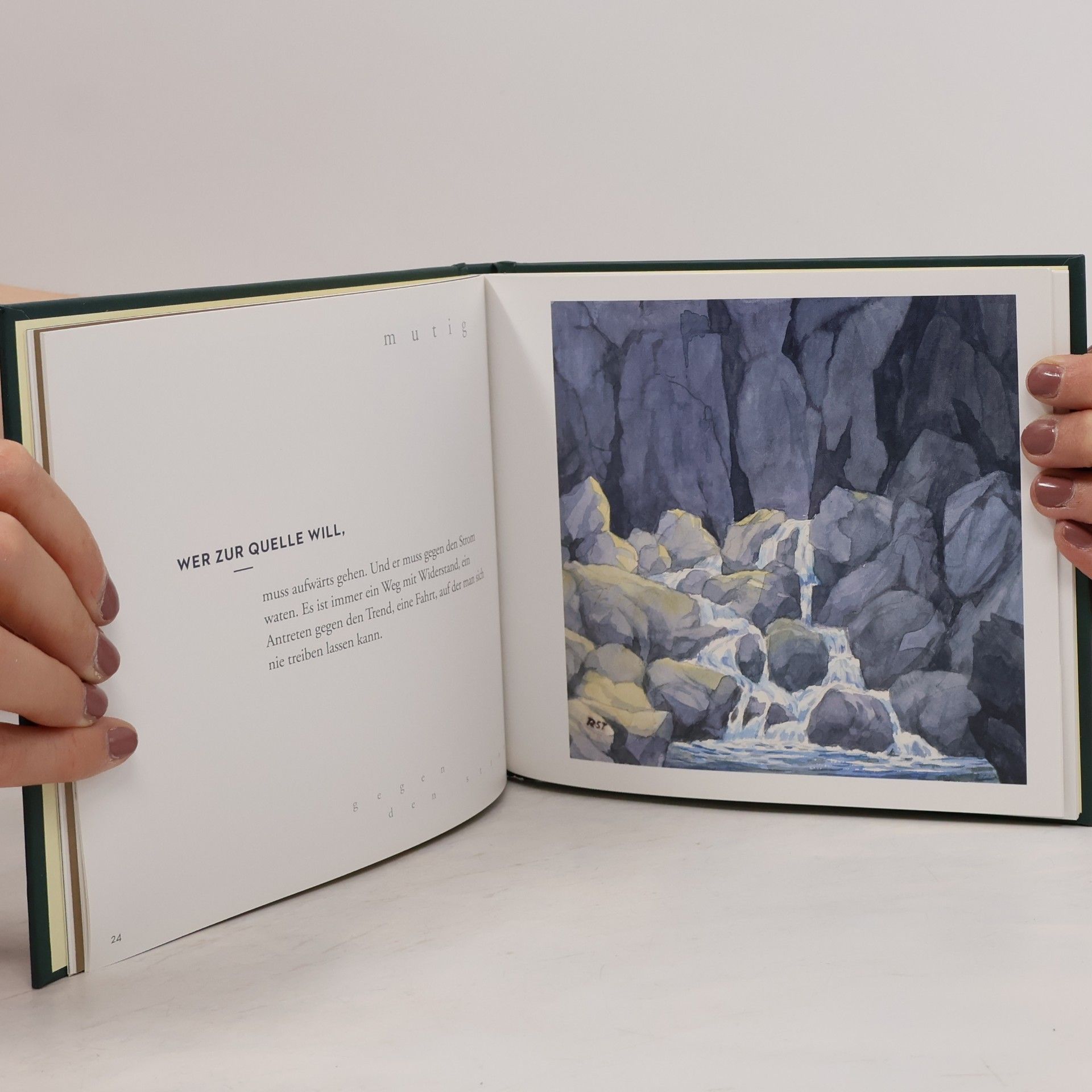 Reinhold Stecher Bergworte. Bilder und Gedanken. Mit Aquarellen des Autors. Herausgegeben vom Peter Jungmann im Auftrag des Bischof-Stecher-Gedächtnisvereins.