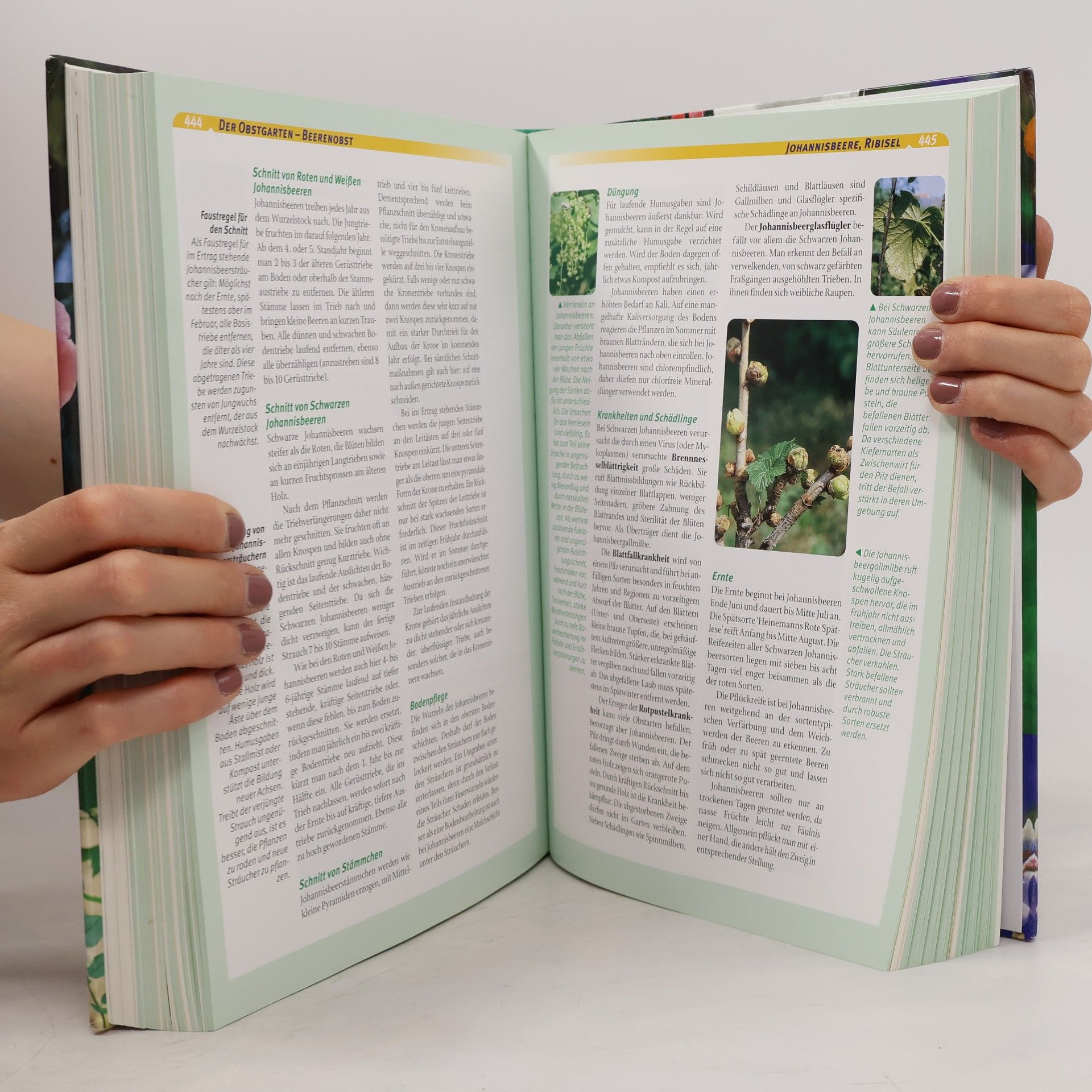 Wolfgang Kawollek Das Gartenbuch