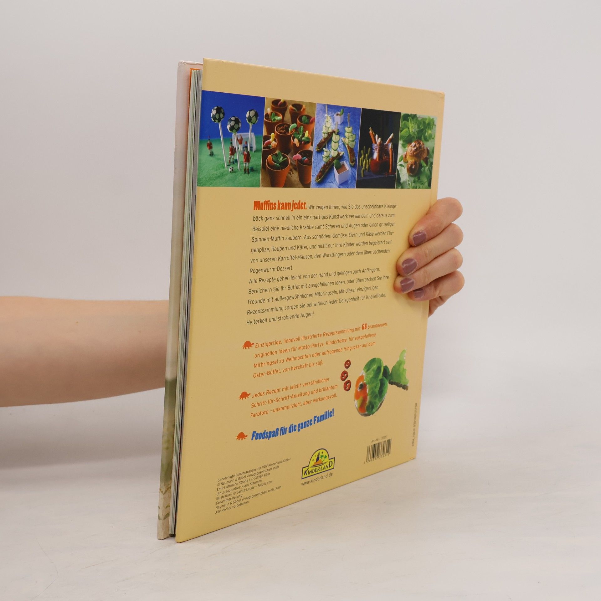 Various authors Fun Food: Kreative Ideen aus der Küche