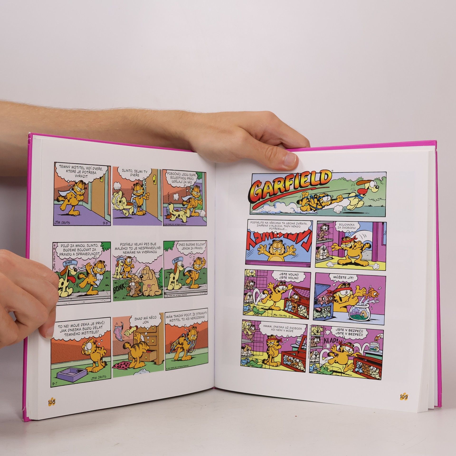 Jim Davis Garfield postrach ledniček