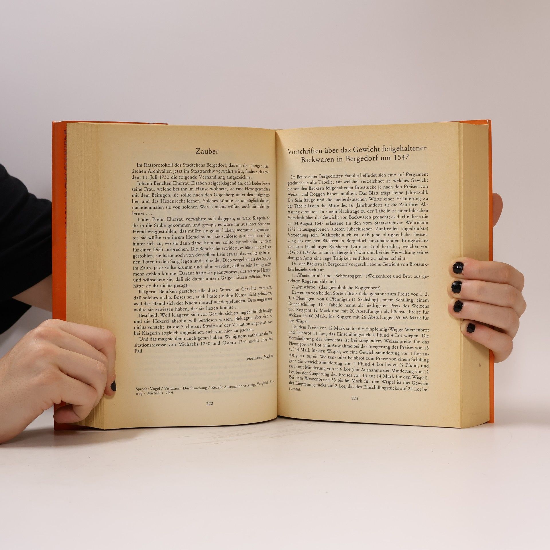 Diethard H. Klein Hausbuch der Hansestädte