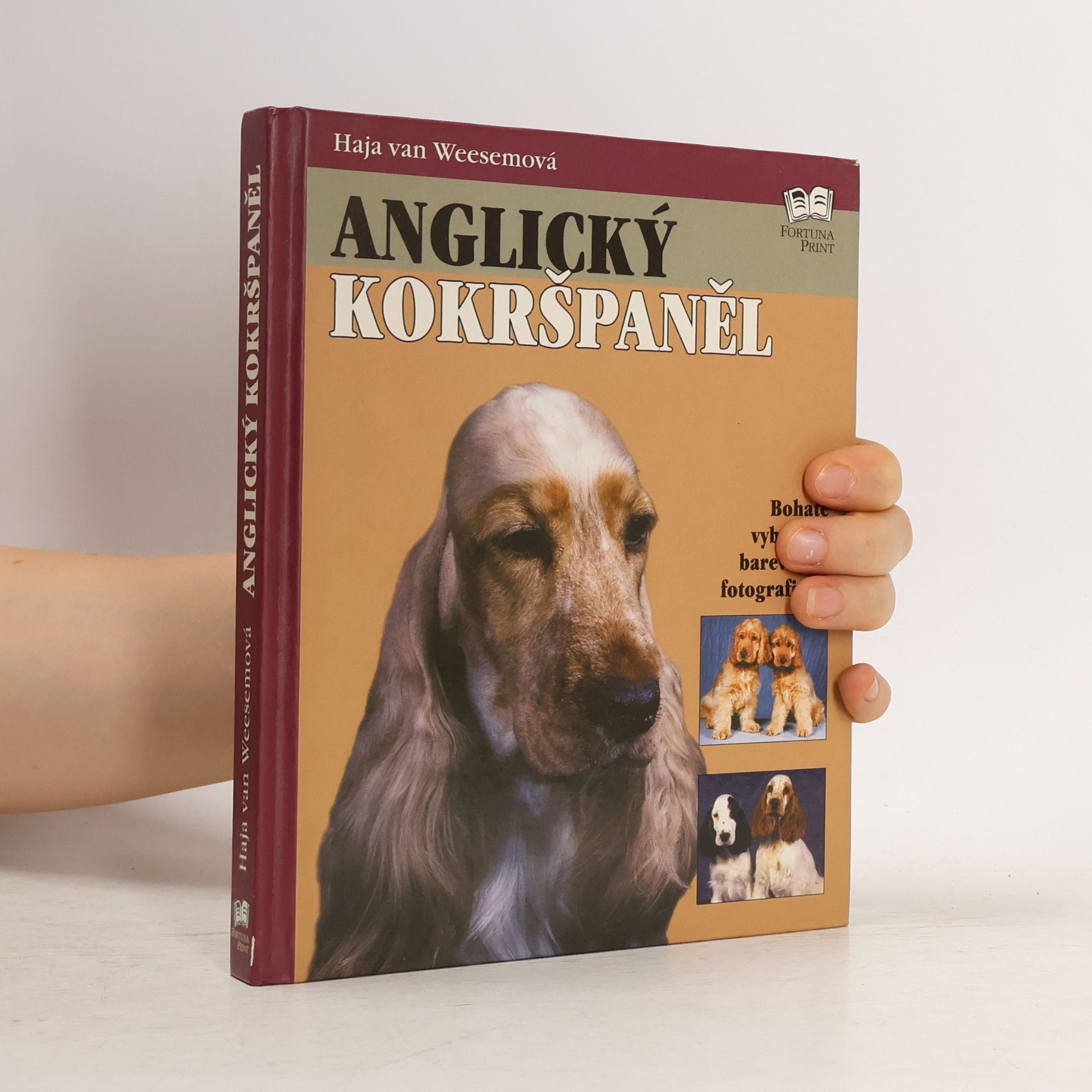 Haja van Wessem Anglický kokršpaněl