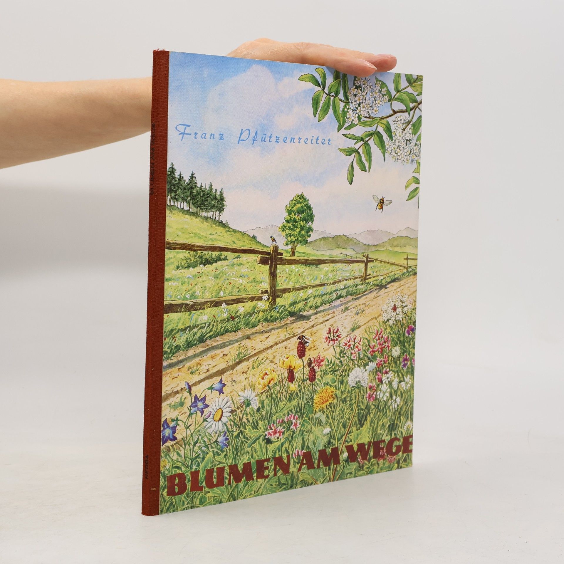 Franz Pfützenreiter Blumen am Wege