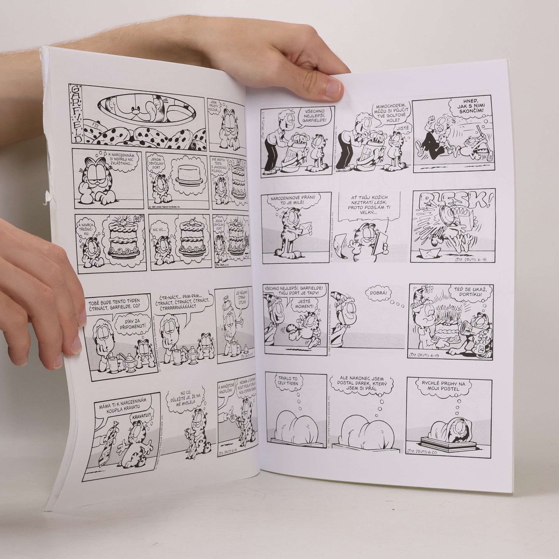 Jim Davis Garfield u lizu - Druhé vydání