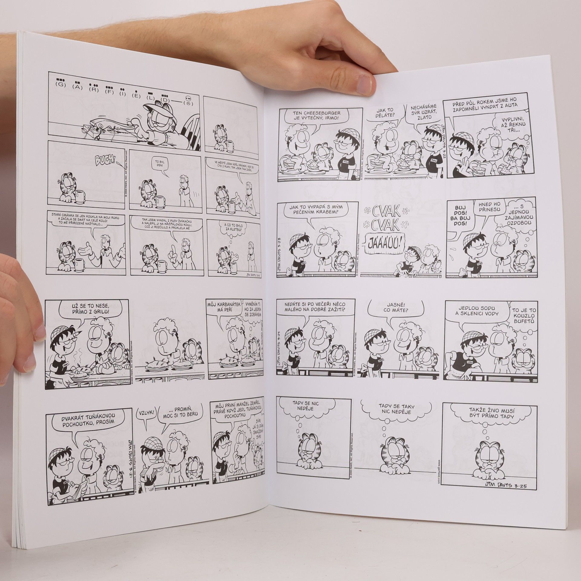 Jim Davis Garfield posiluje