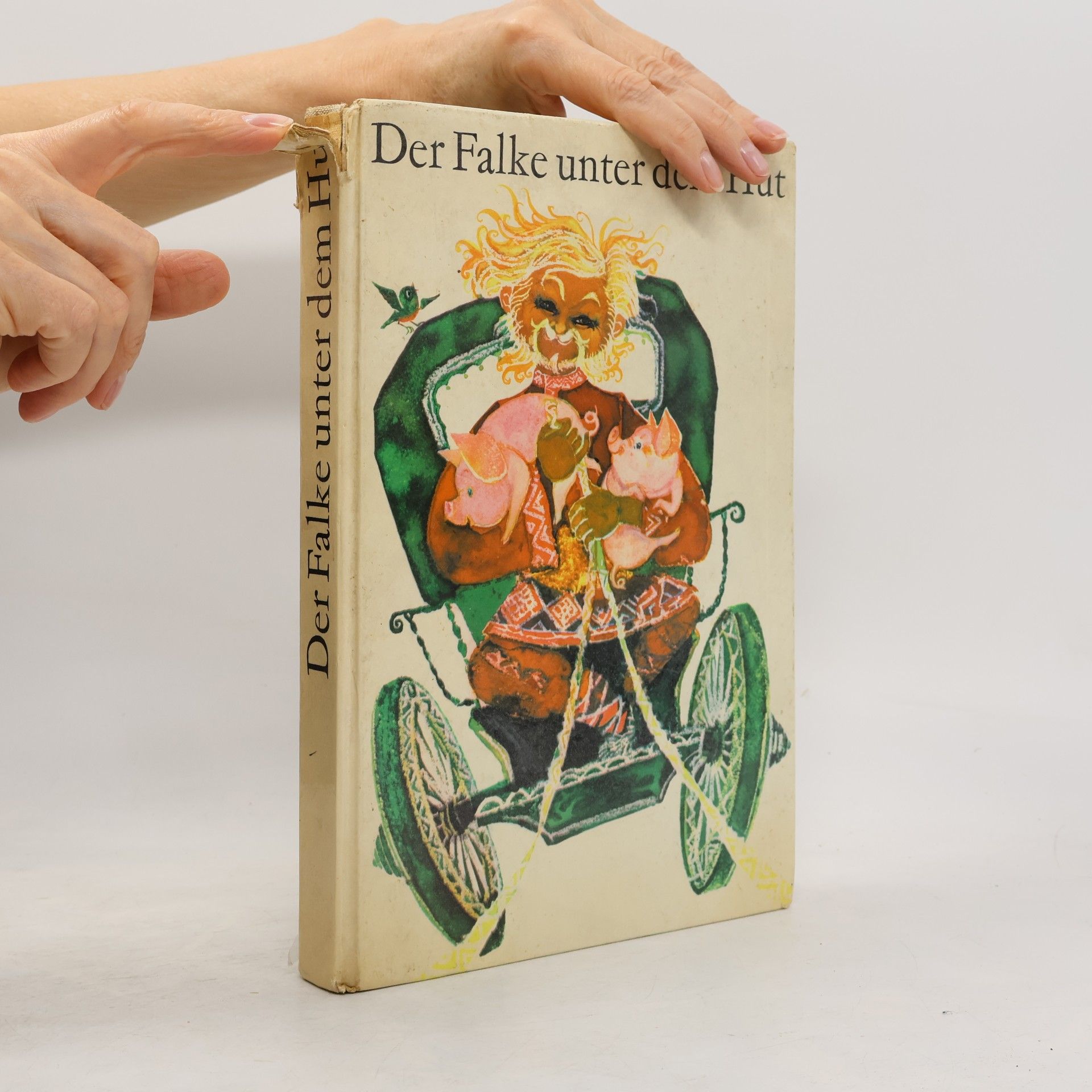 Regine Schultz Der Falke unter dem Hut