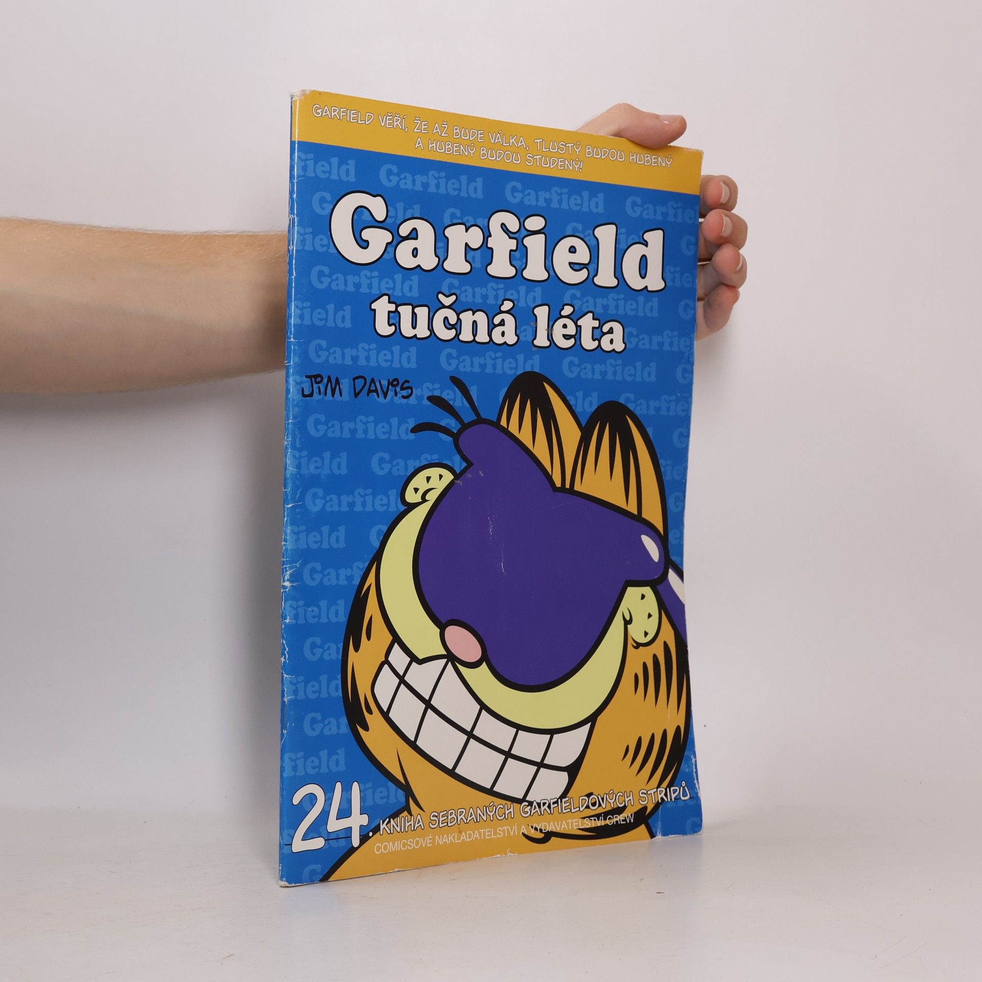 Jim Davis Garfield : tučná léta