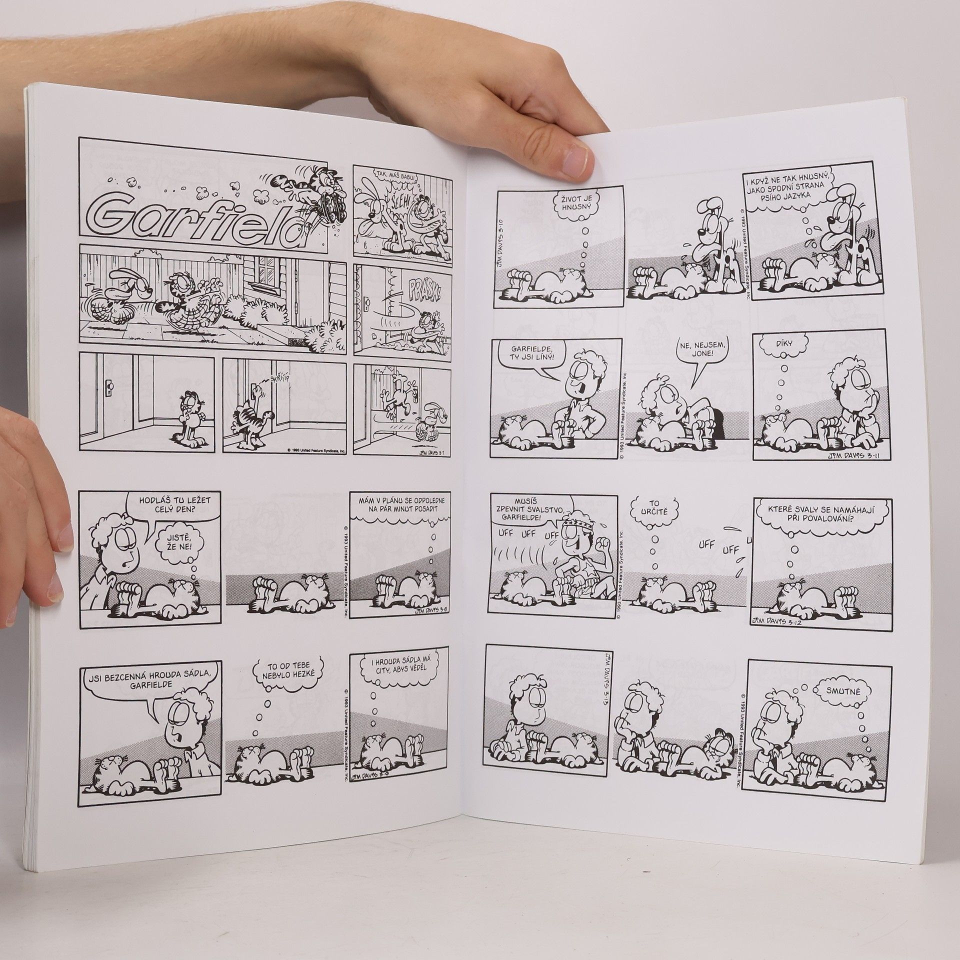 Jim Davis Garfield : tučná léta