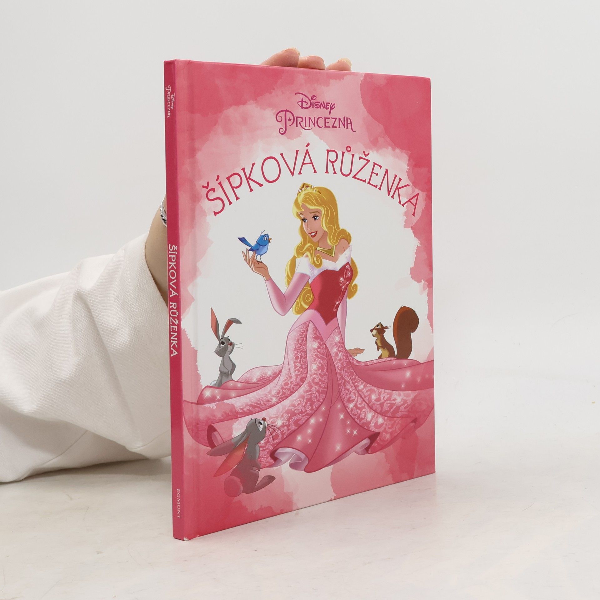 Disney Storybook Artists Šípková Růženka