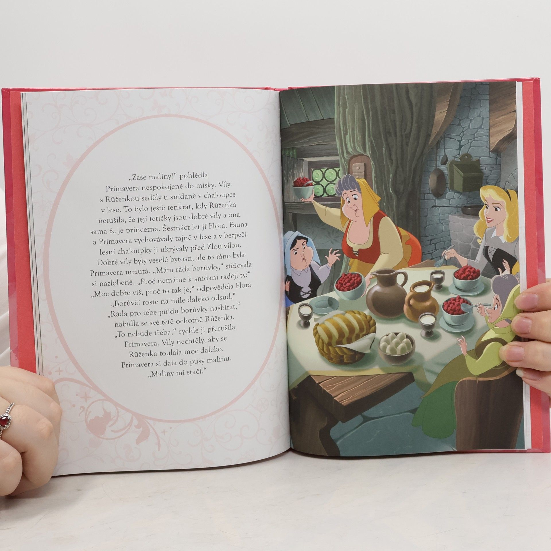 Disney Storybook Artists Šípková Růženka