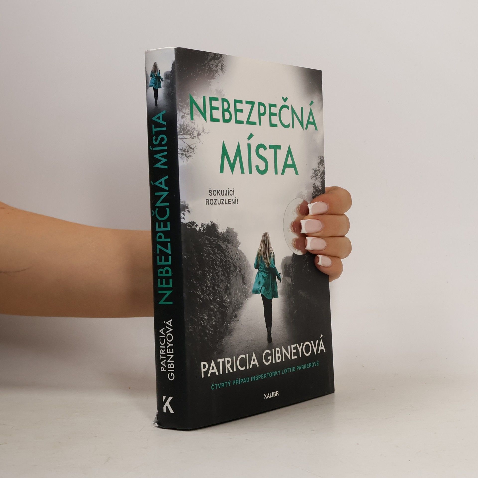 Patricia Gibney Nebezpečná místa