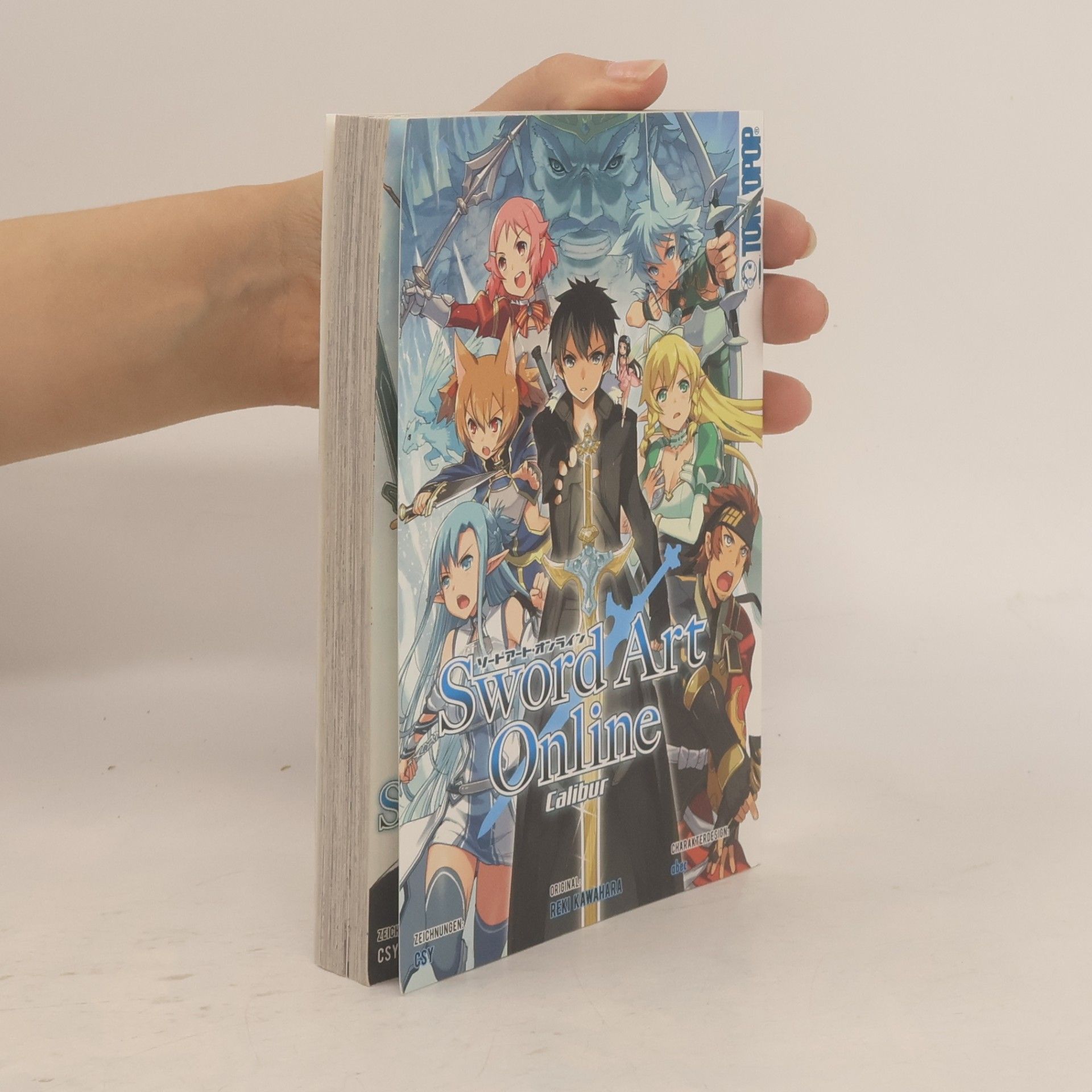 Sword art online, calibur
