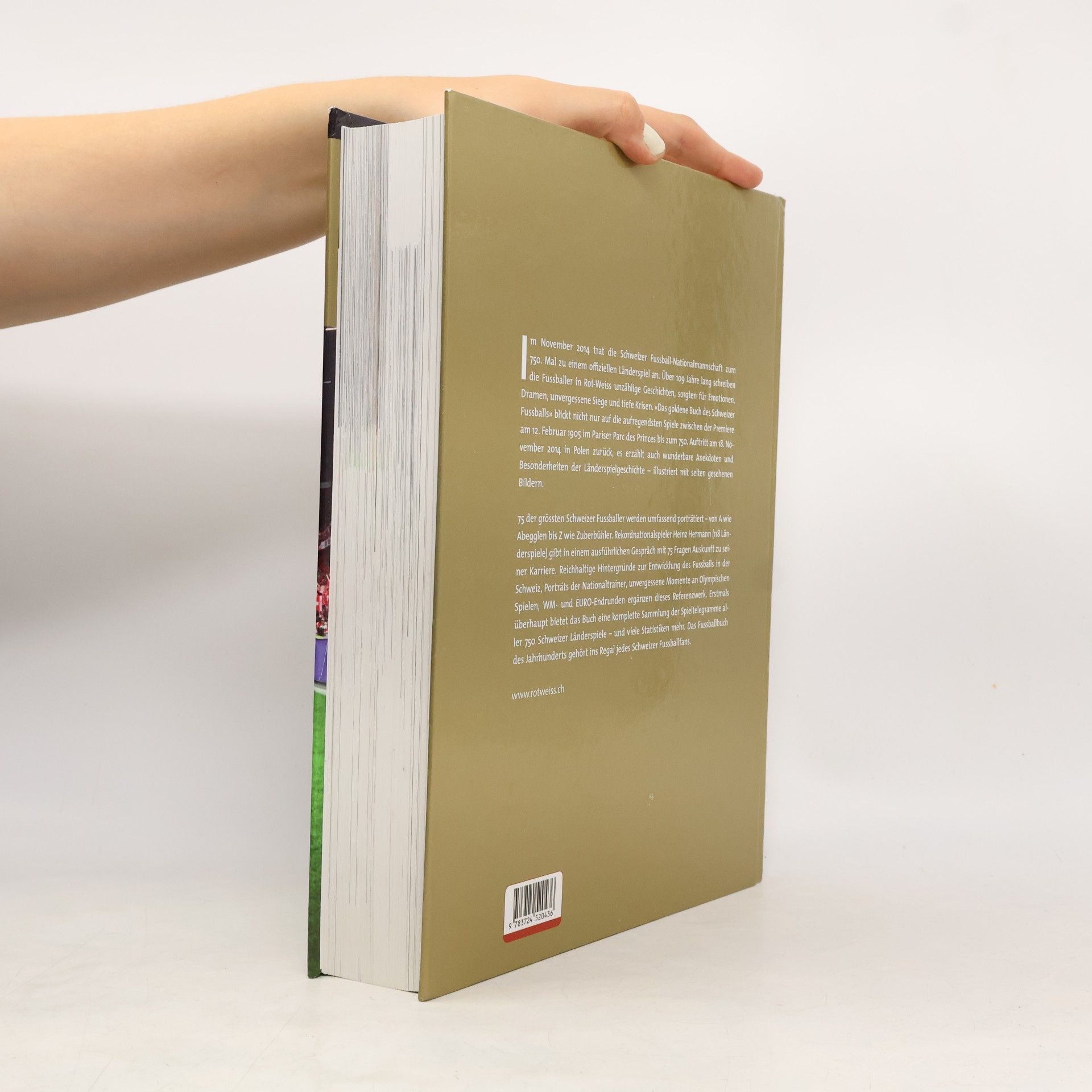 Daniel Schaub Das goldene Buch des Schweizer Fussballs