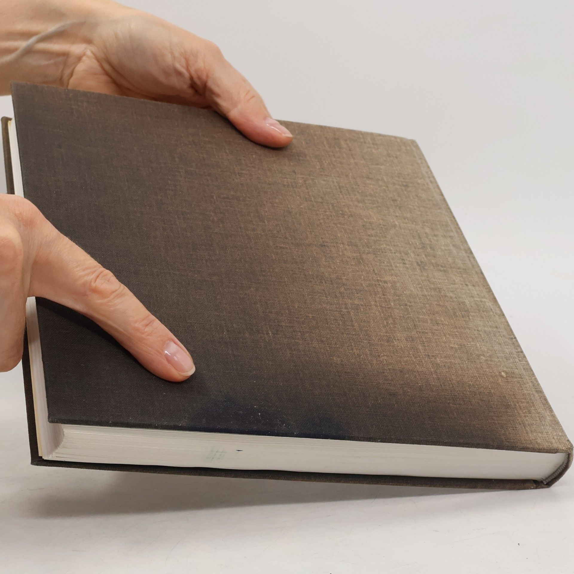 Gerhard Wagner Geschichte des Schornsteins und des Schornsteinfegerhandwerks