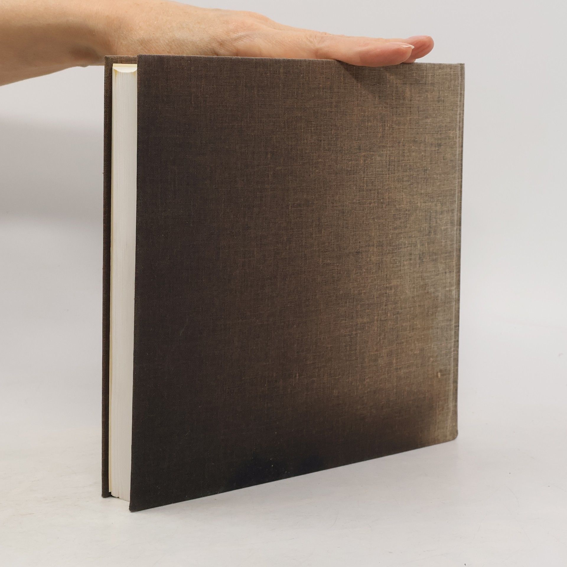 Gerhard Wagner Geschichte des Schornsteins und des Schornsteinfegerhandwerks
