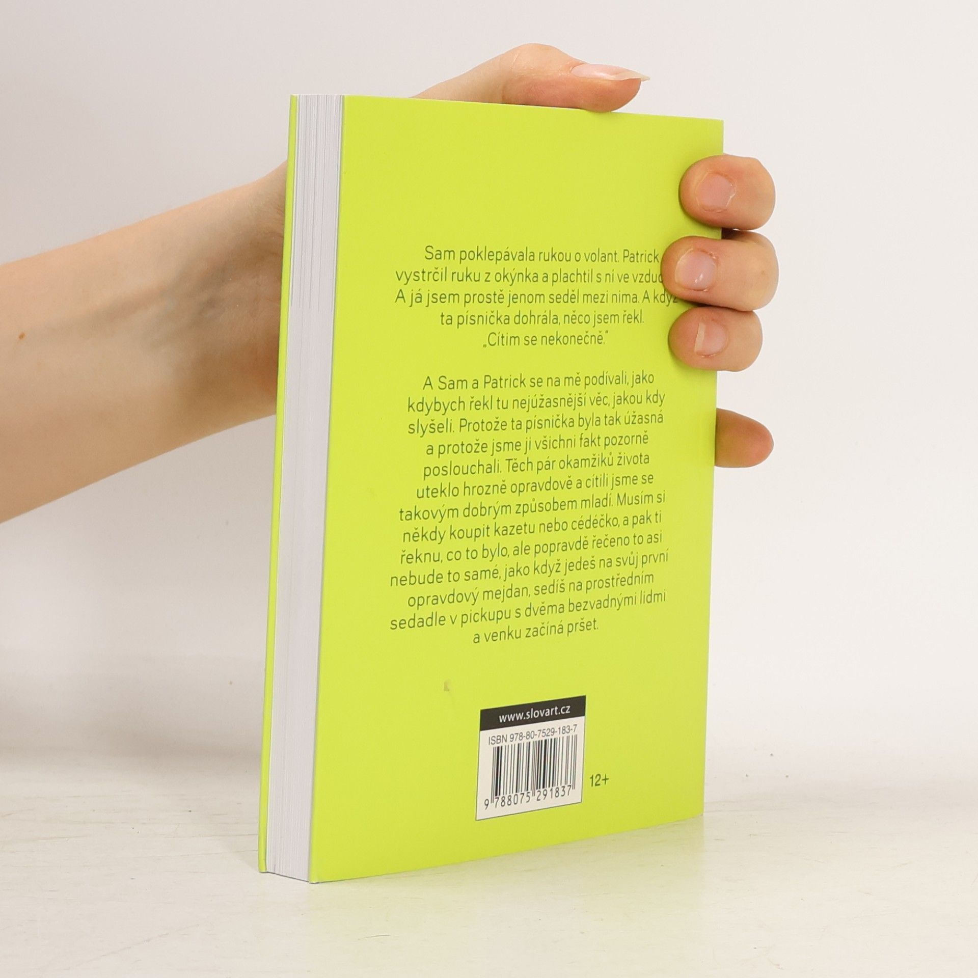 Stephen Chbosky Ten, kdo stojí v koutě