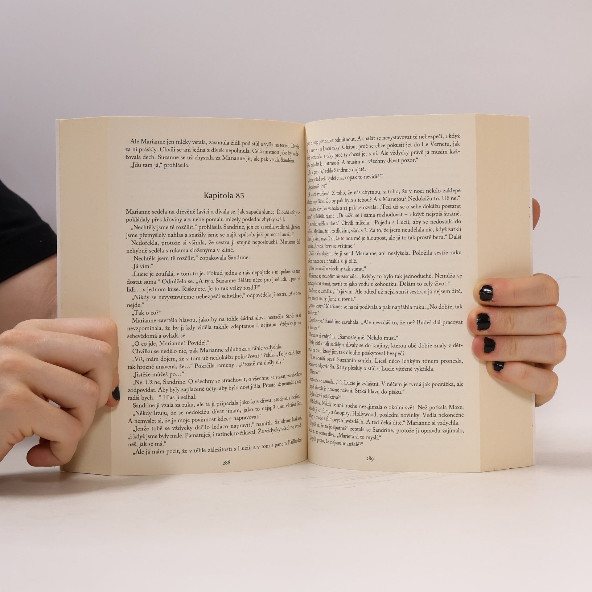 Kate Mosse Citadela
