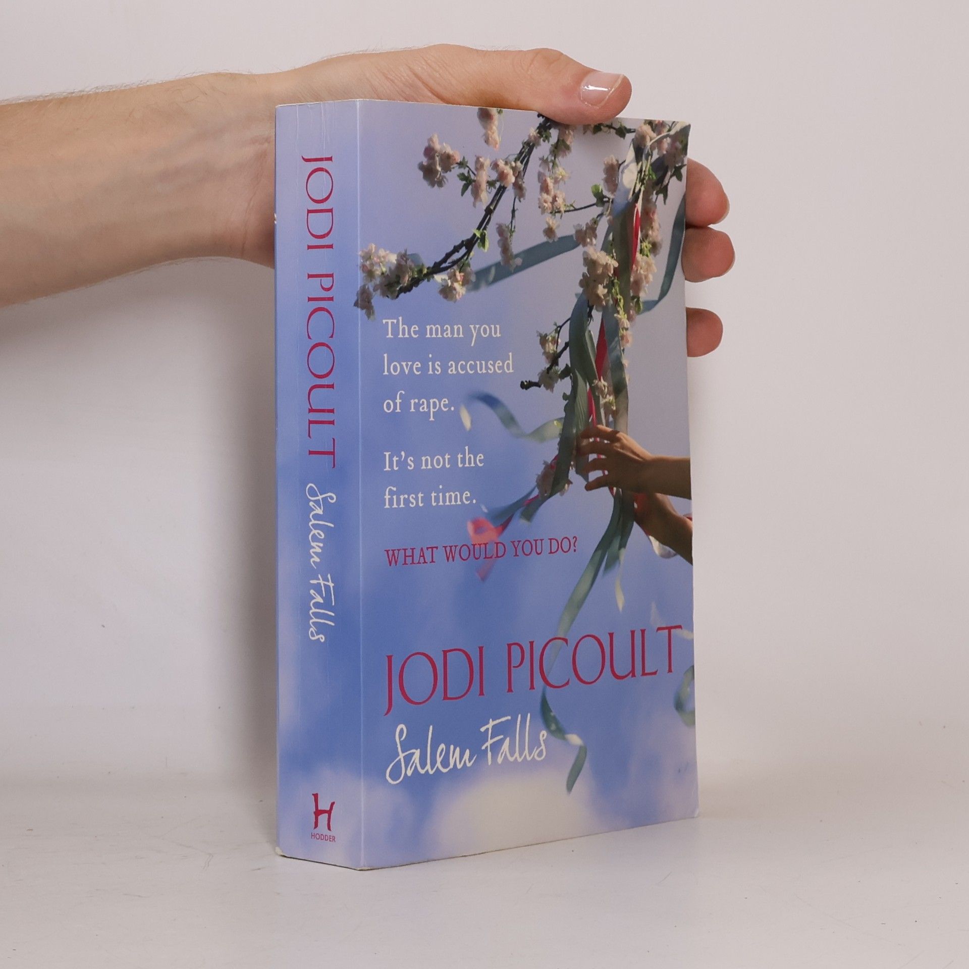 Jodi Picoult Salem Falls