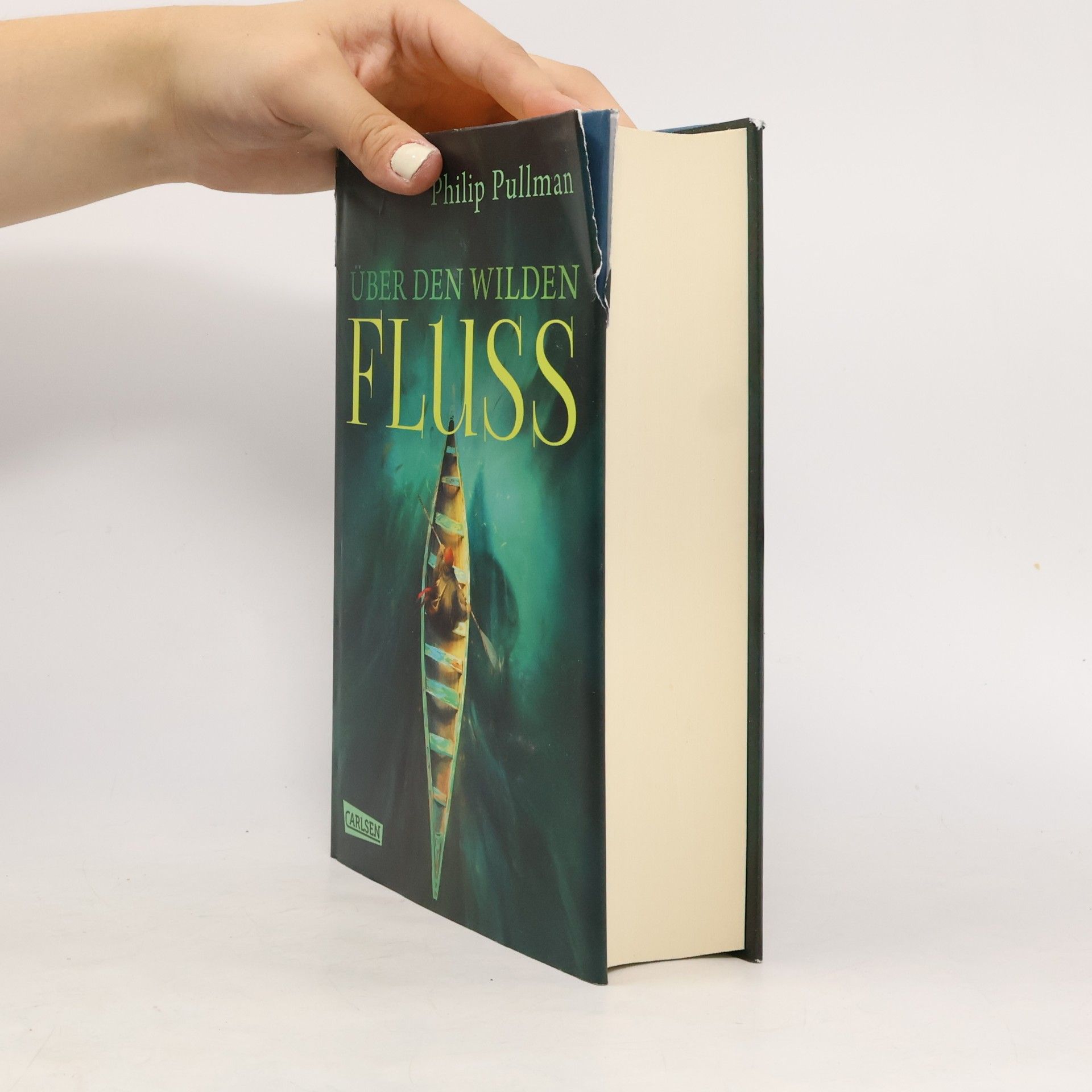 Philip Pullman Über den wilden Fluss