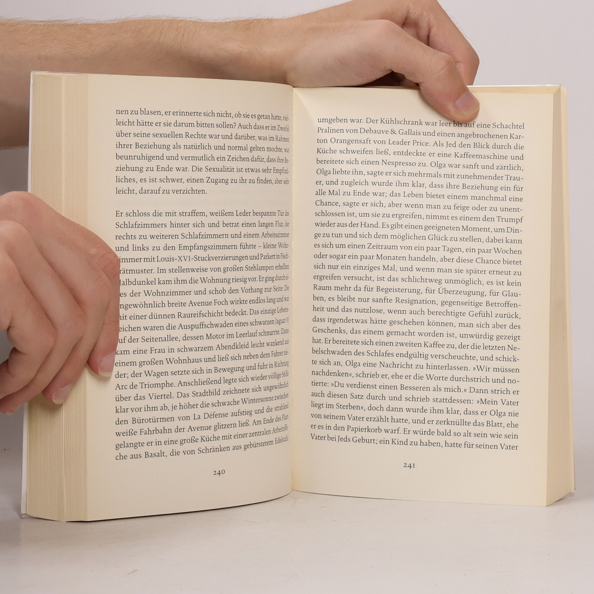 Michel Houellebecq Karte und Gebiet