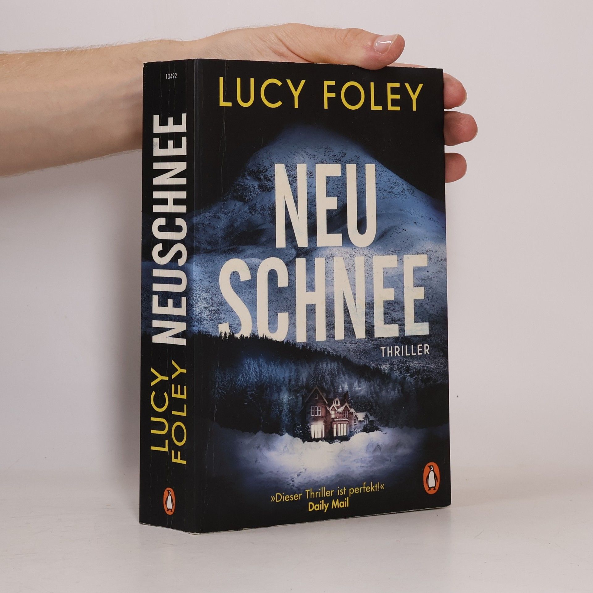 Lucy Foley Neuschnee