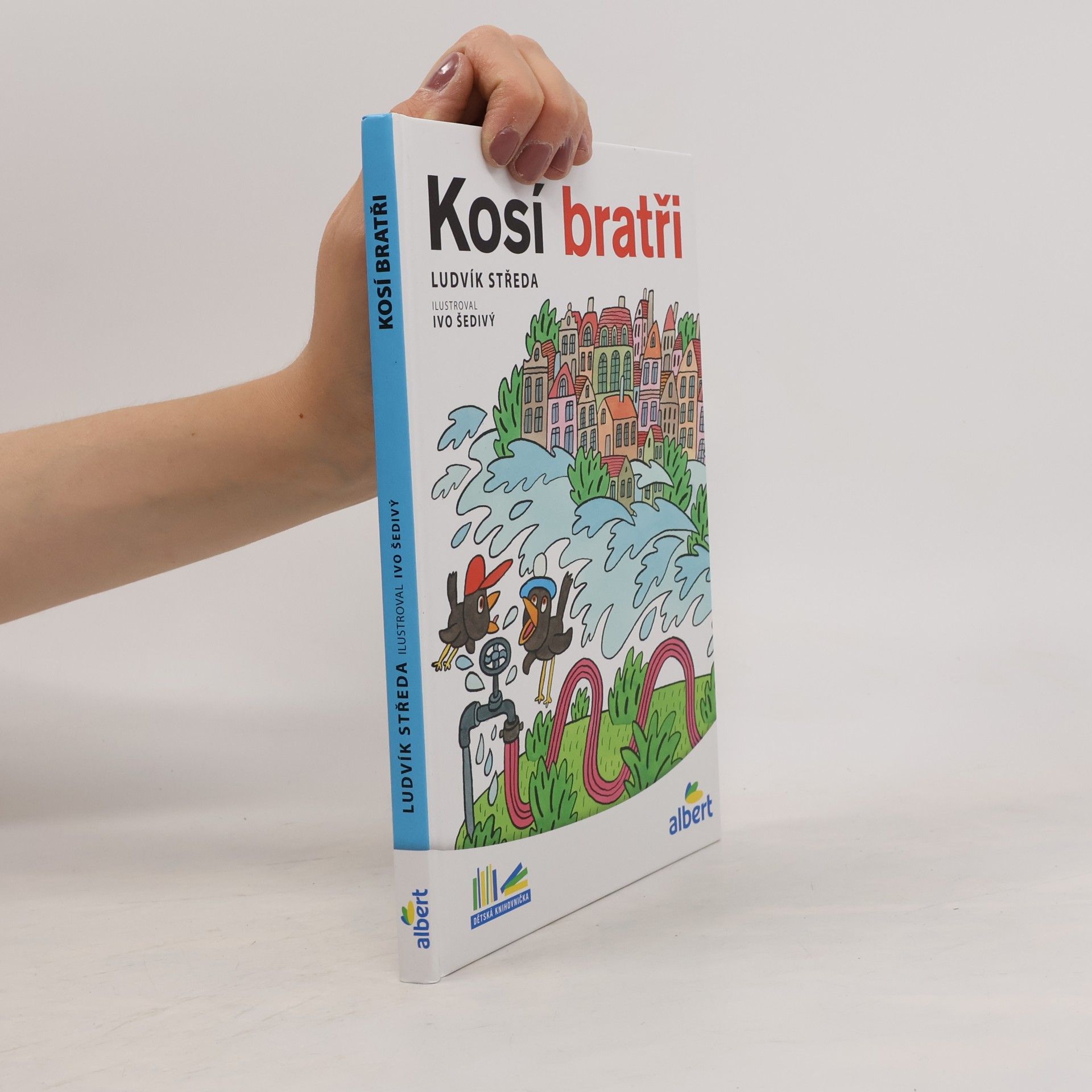 Kosí bratři