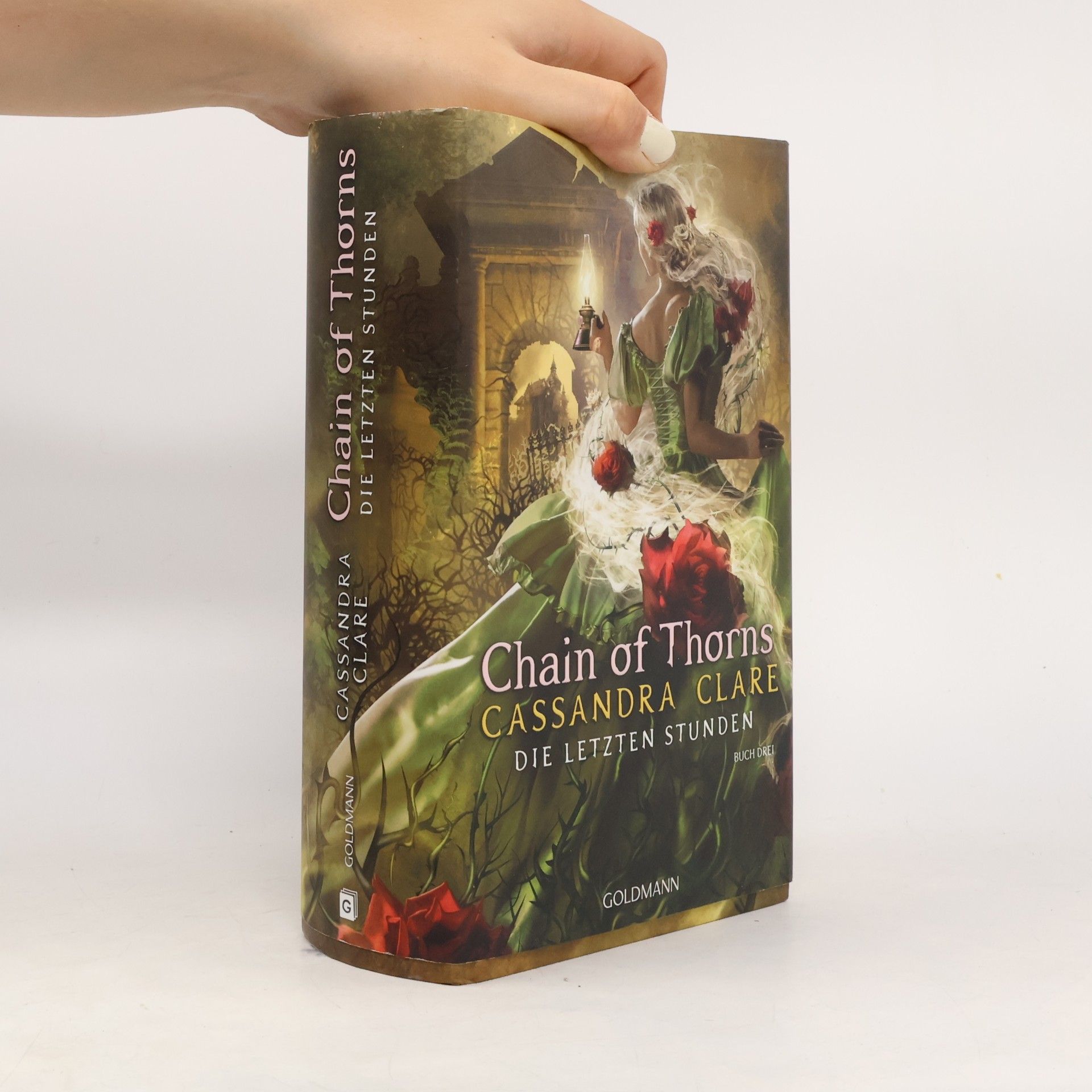Cassandra Clare Die Letzten Stunden 3. Chain of Thorns