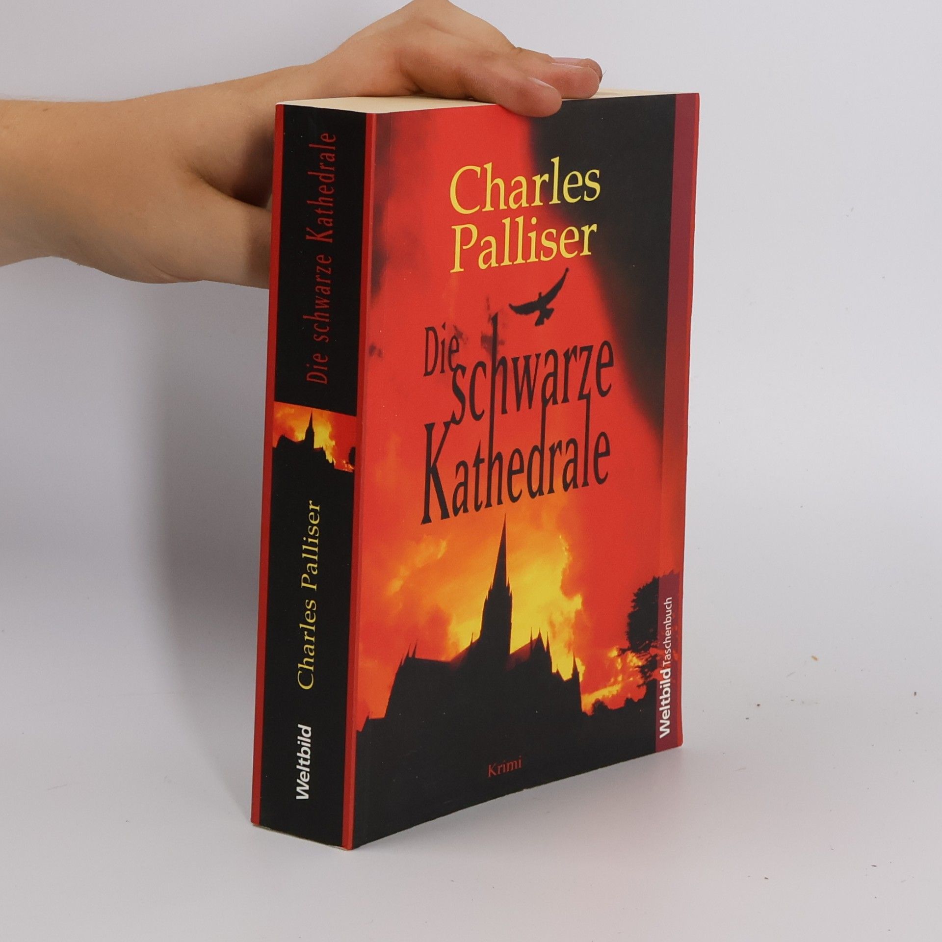 Charles Palliser Die schwarze Kathedrale