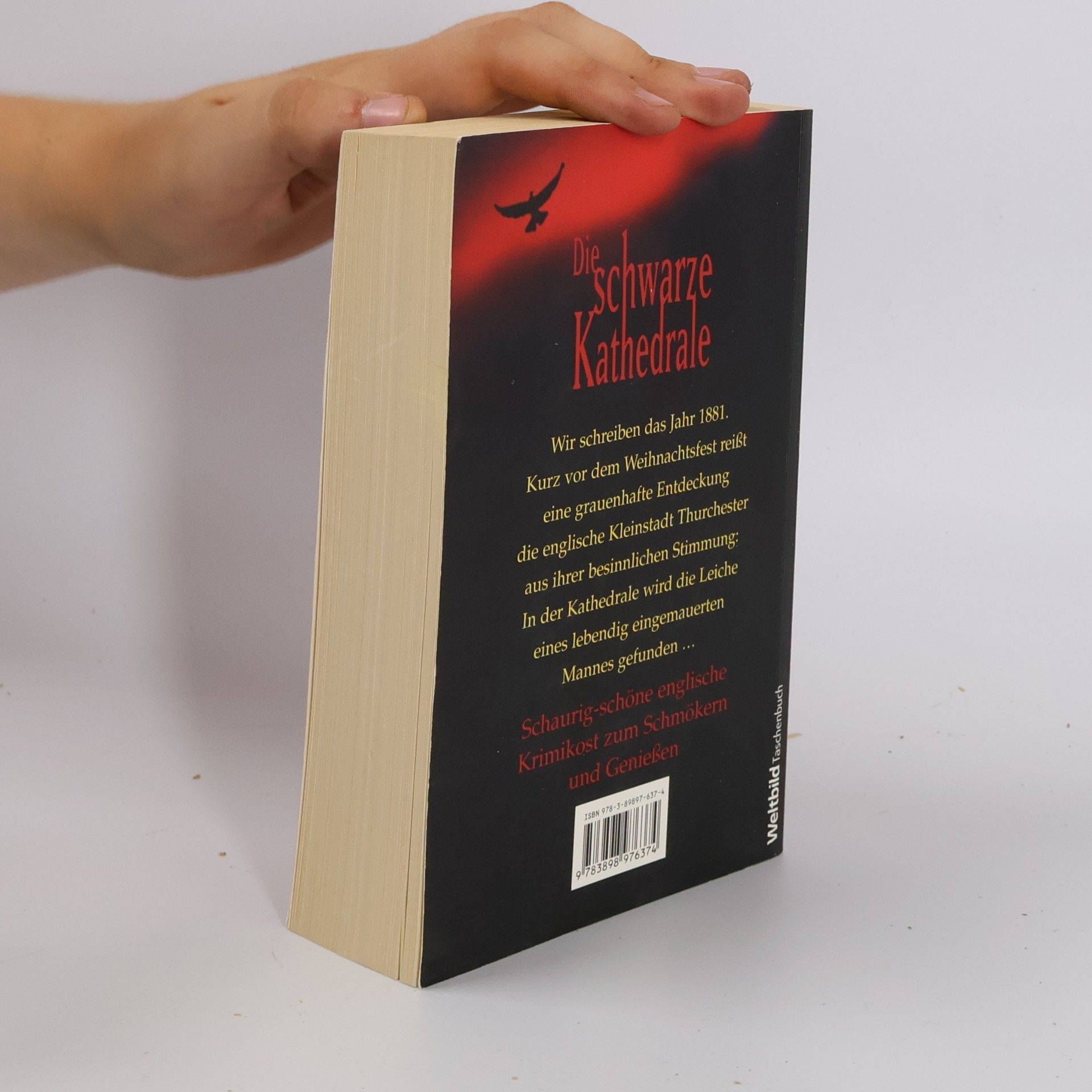 Charles Palliser Die schwarze Kathedrale