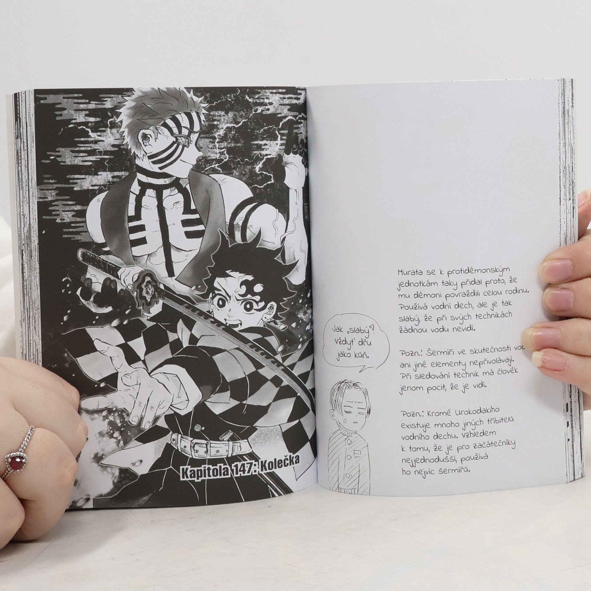 Koyoharu Gotōge Zabiják démonů 17 Dědicové