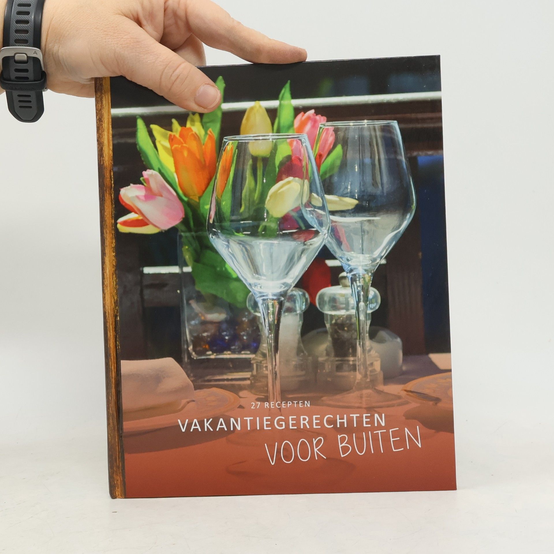 Autorenkollektiv 27 recepten vakantiegerechten voor buiten