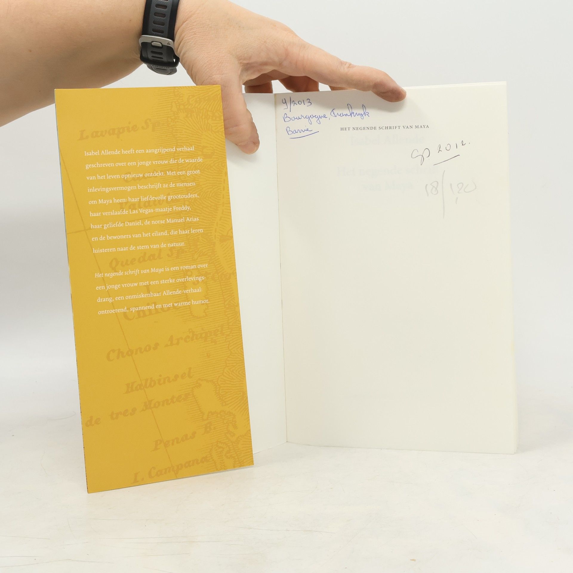Rikkie Degenaar Het negende schrift van Maya
