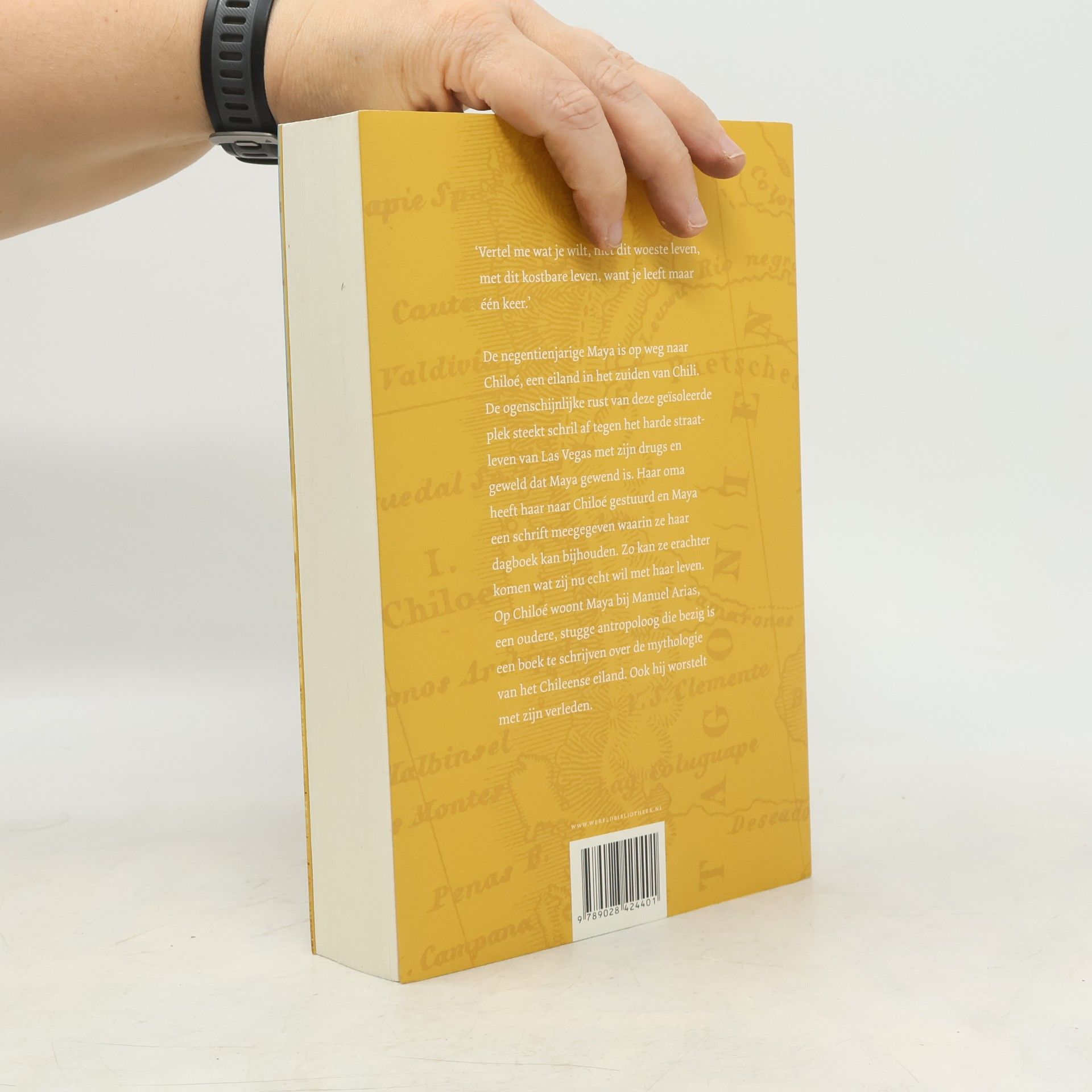 Rikkie Degenaar Het negende schrift van Maya